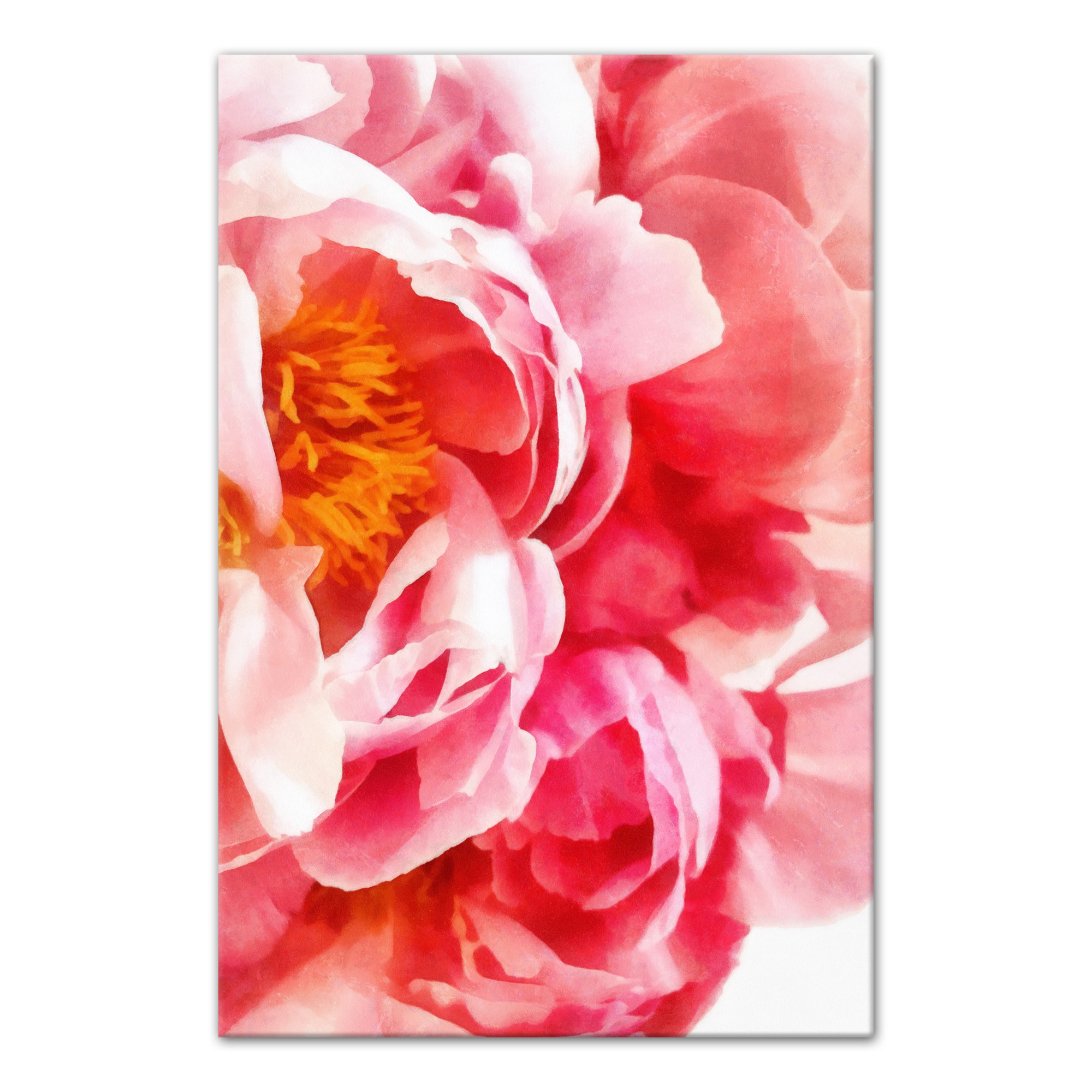 Pink Peonies Wall Art