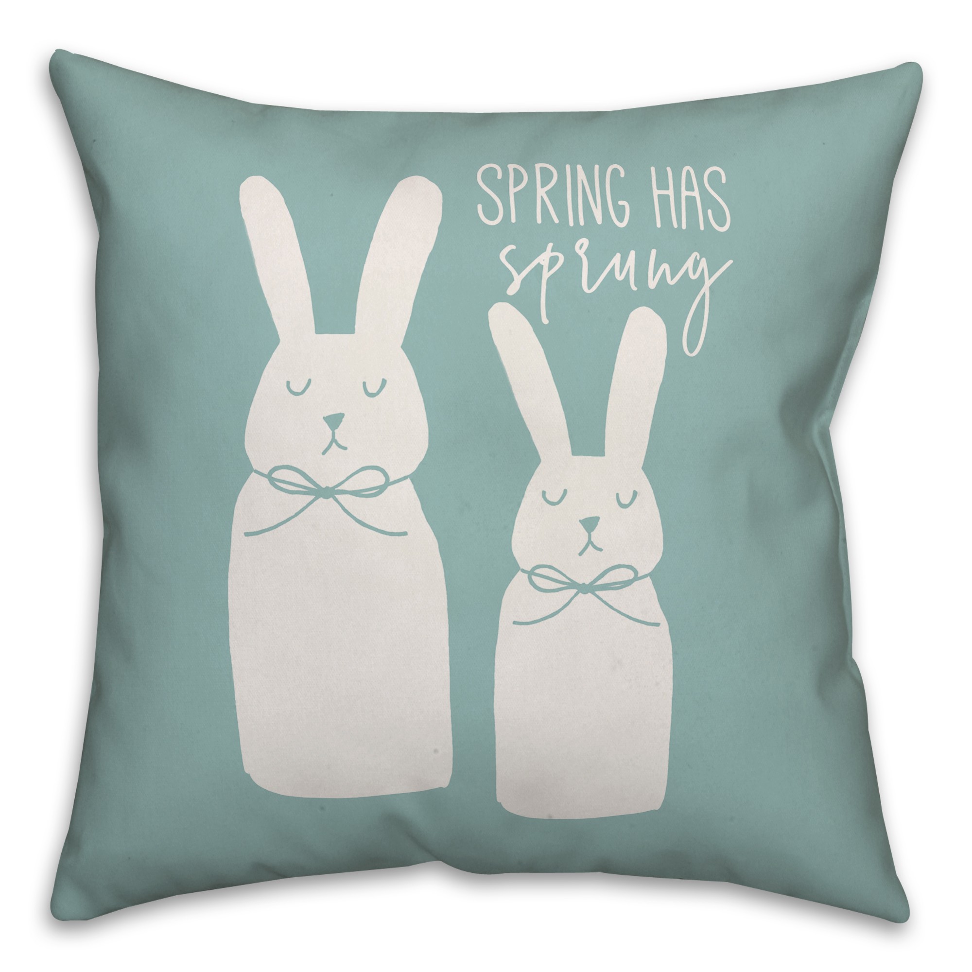 Spring has Sprung Pillow