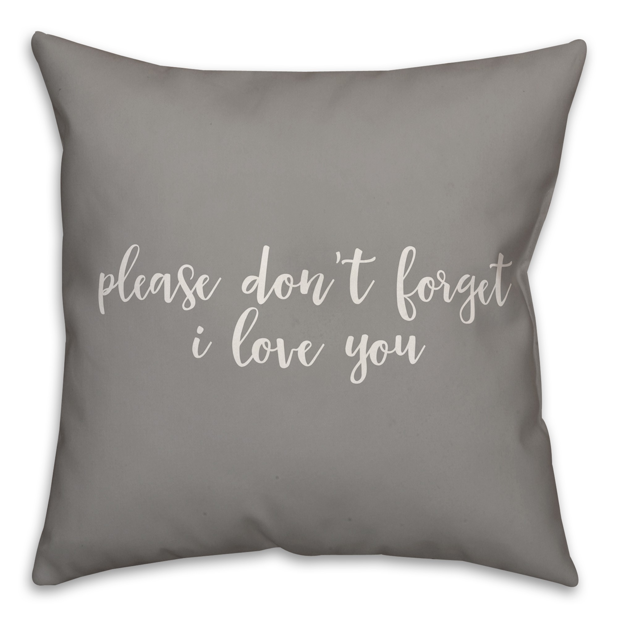 Please Don't Forget I Love You 16x16 Spun Poly Pillow Cover