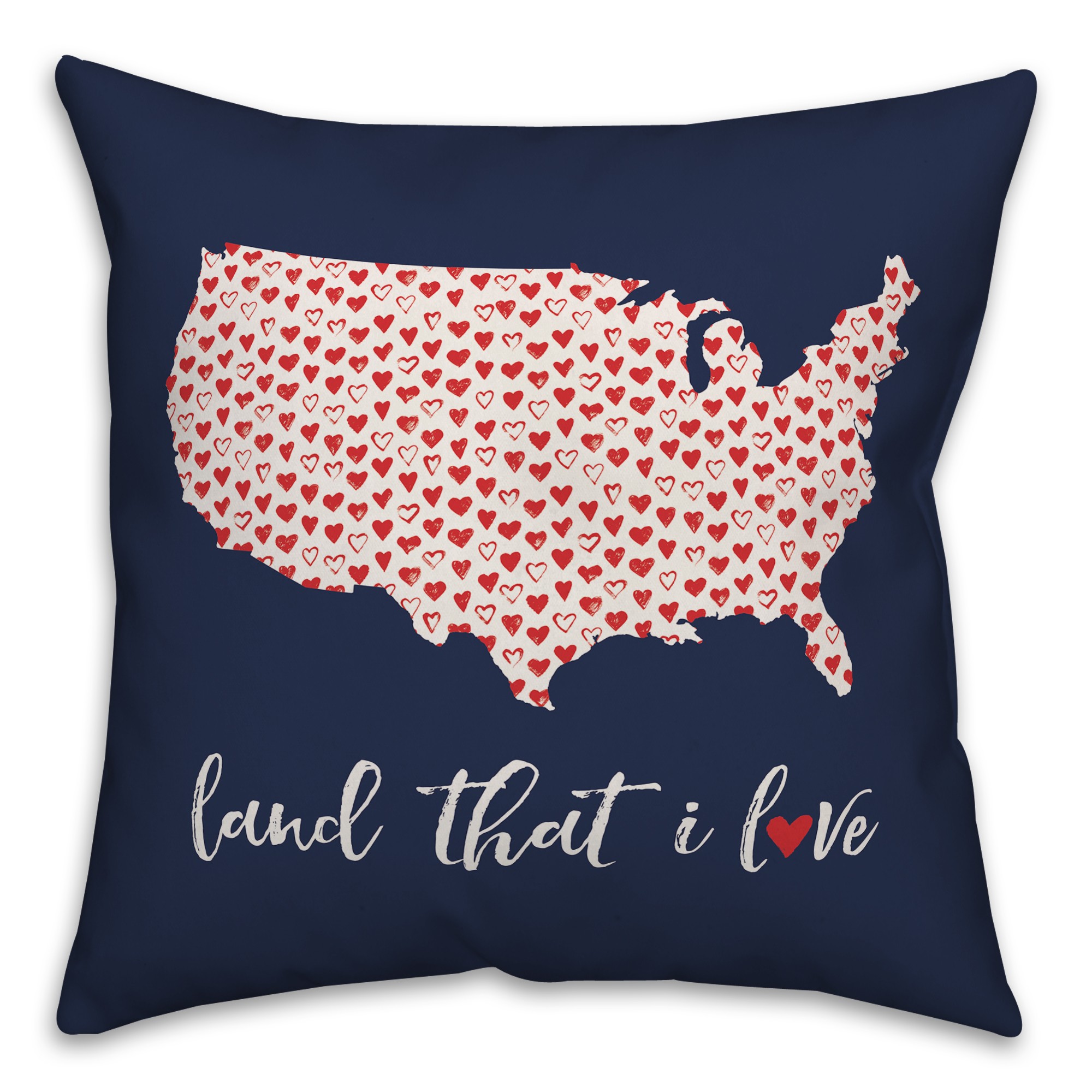Land that I Love 18x18 Spun Poly Pillow