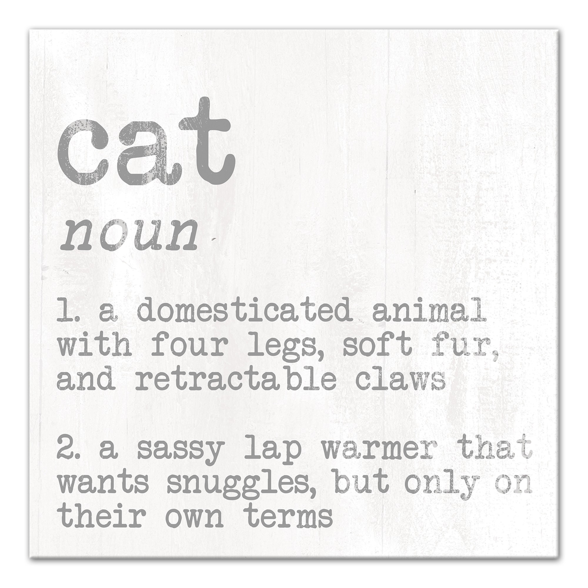 Cat Noun 12x12 Canvas Wall Art