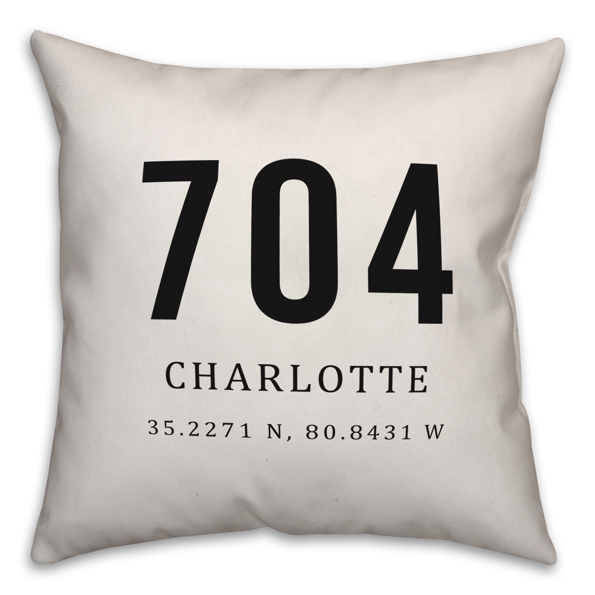 Charlotte Coordinates 18x18 Indoor / Outdoor Pillow