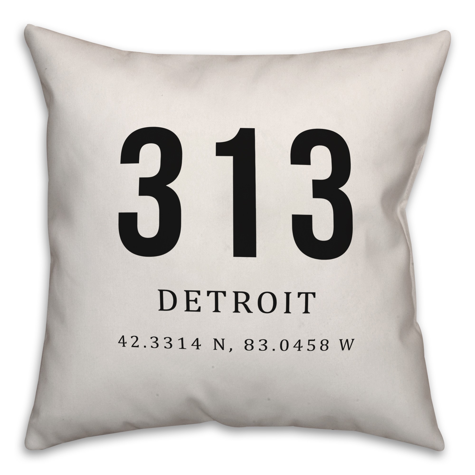 Detroit Coordinates 18x18 Indoor / Outdoor Pillow