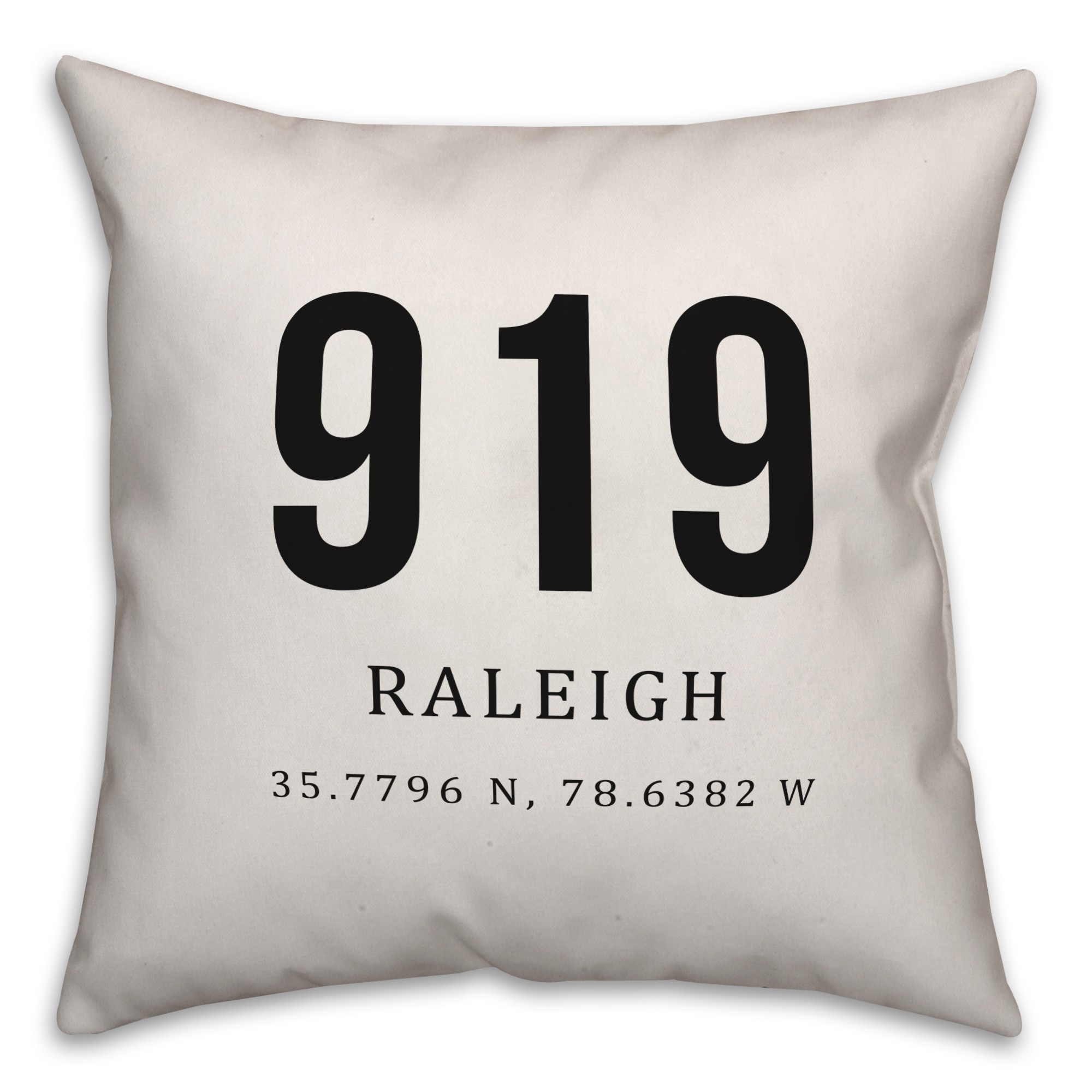 Raleigh Coordinates 18x18 Indoor / Outdoor Pillow