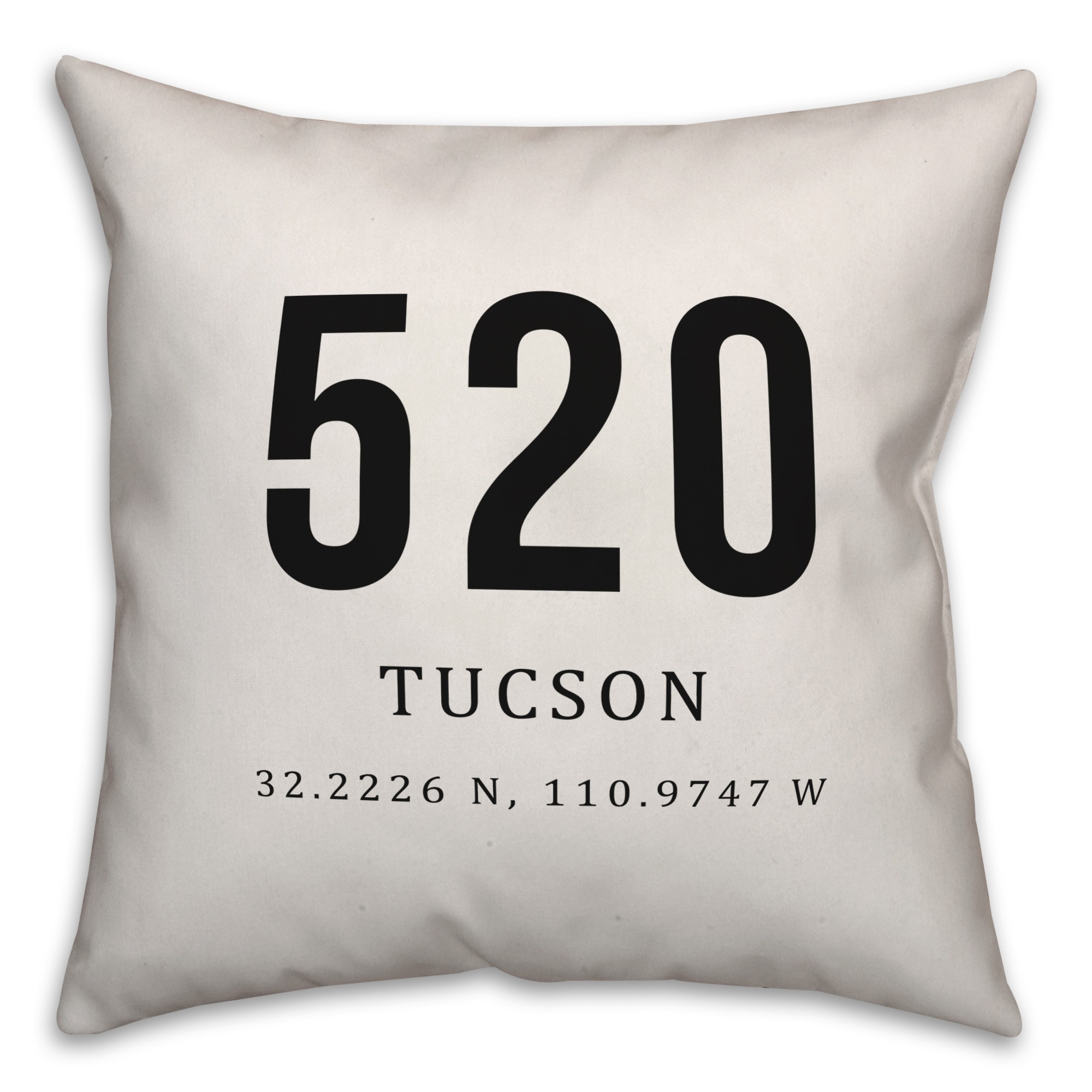 Tucson Coordinates 18x18 Indoor / Outdoor Pillow