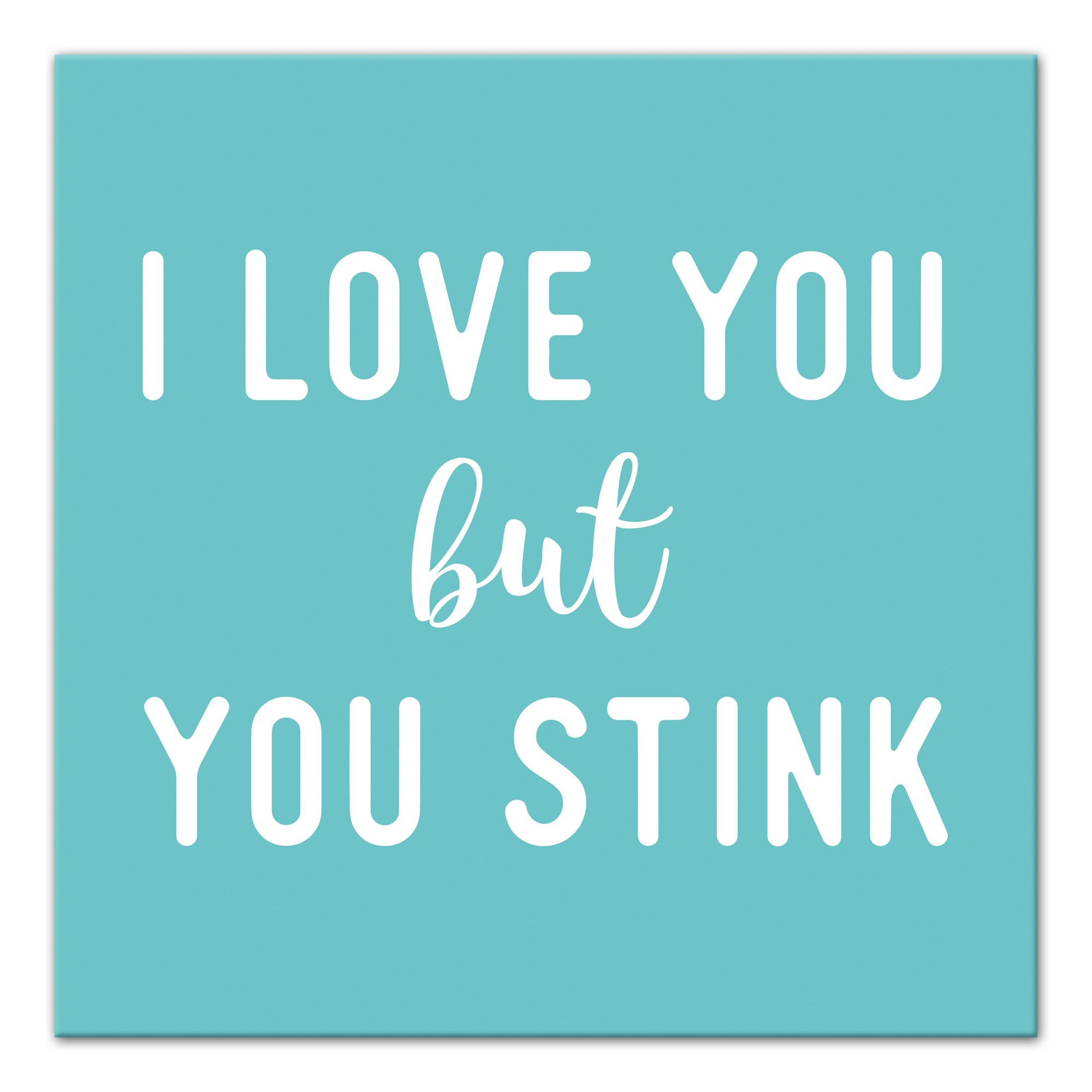 I Love You But You Stink 16x16 Canvas Wall Art