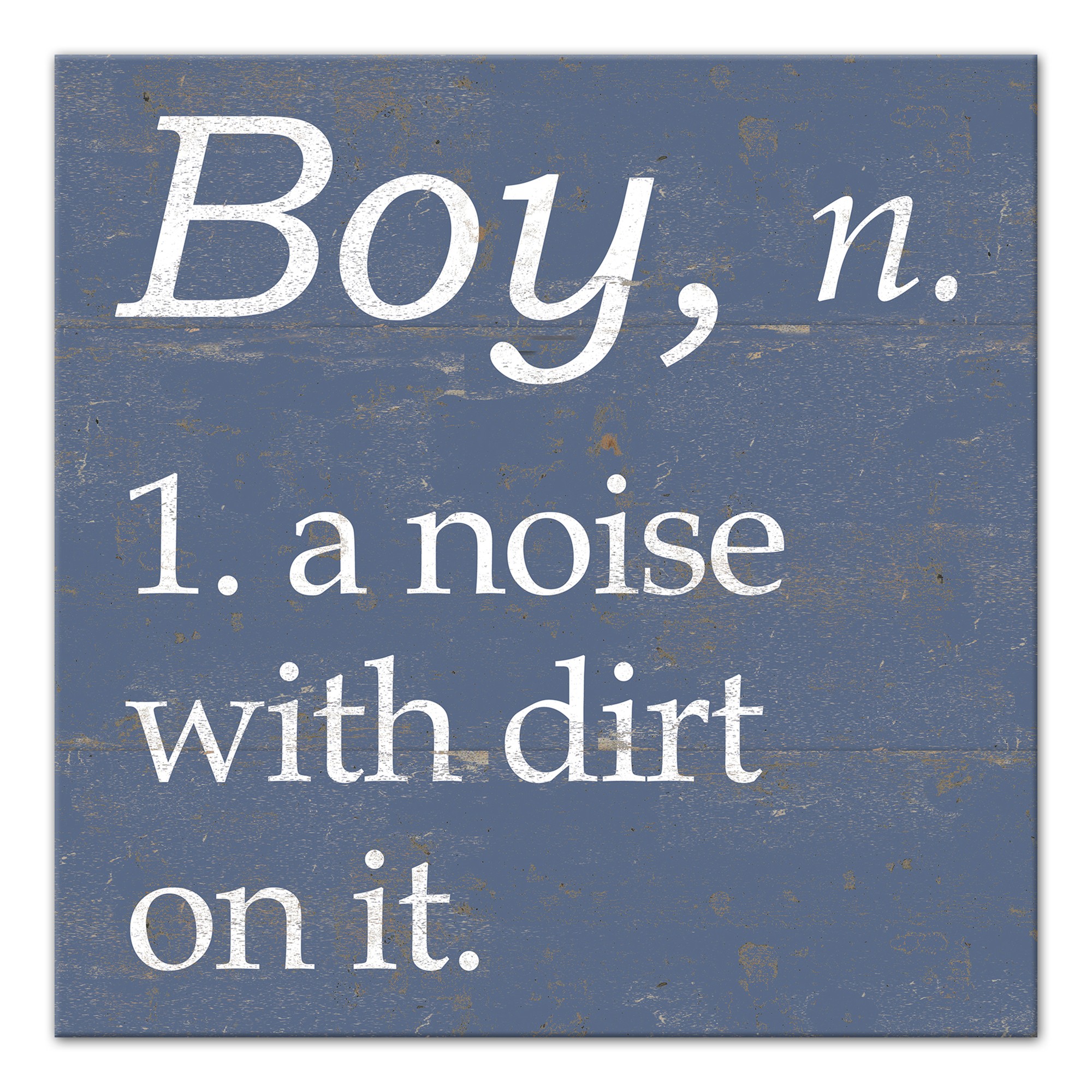Boy Definition 12x12 Canvas Wall Art