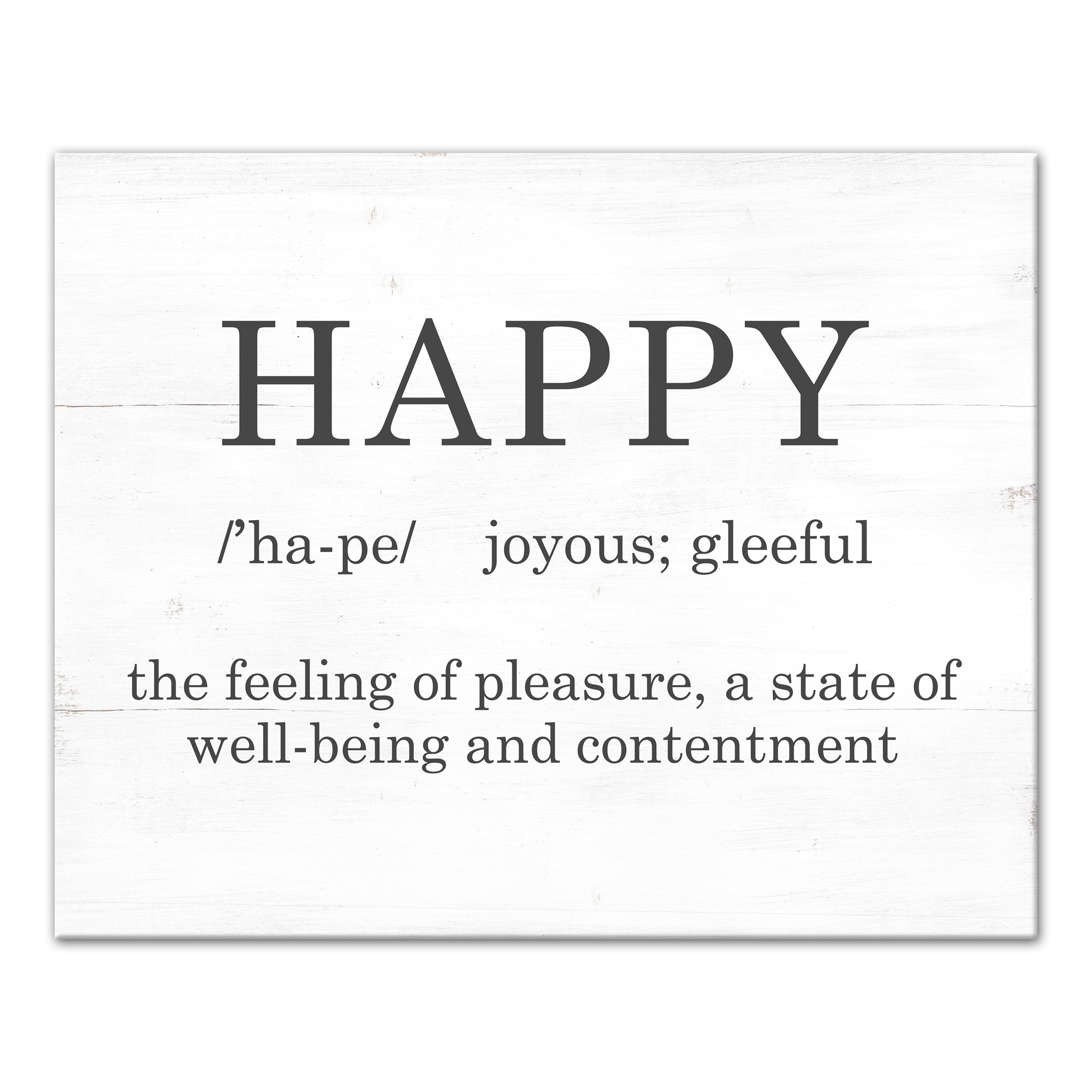 Happy Definition 16x20 Canvas Wall Art