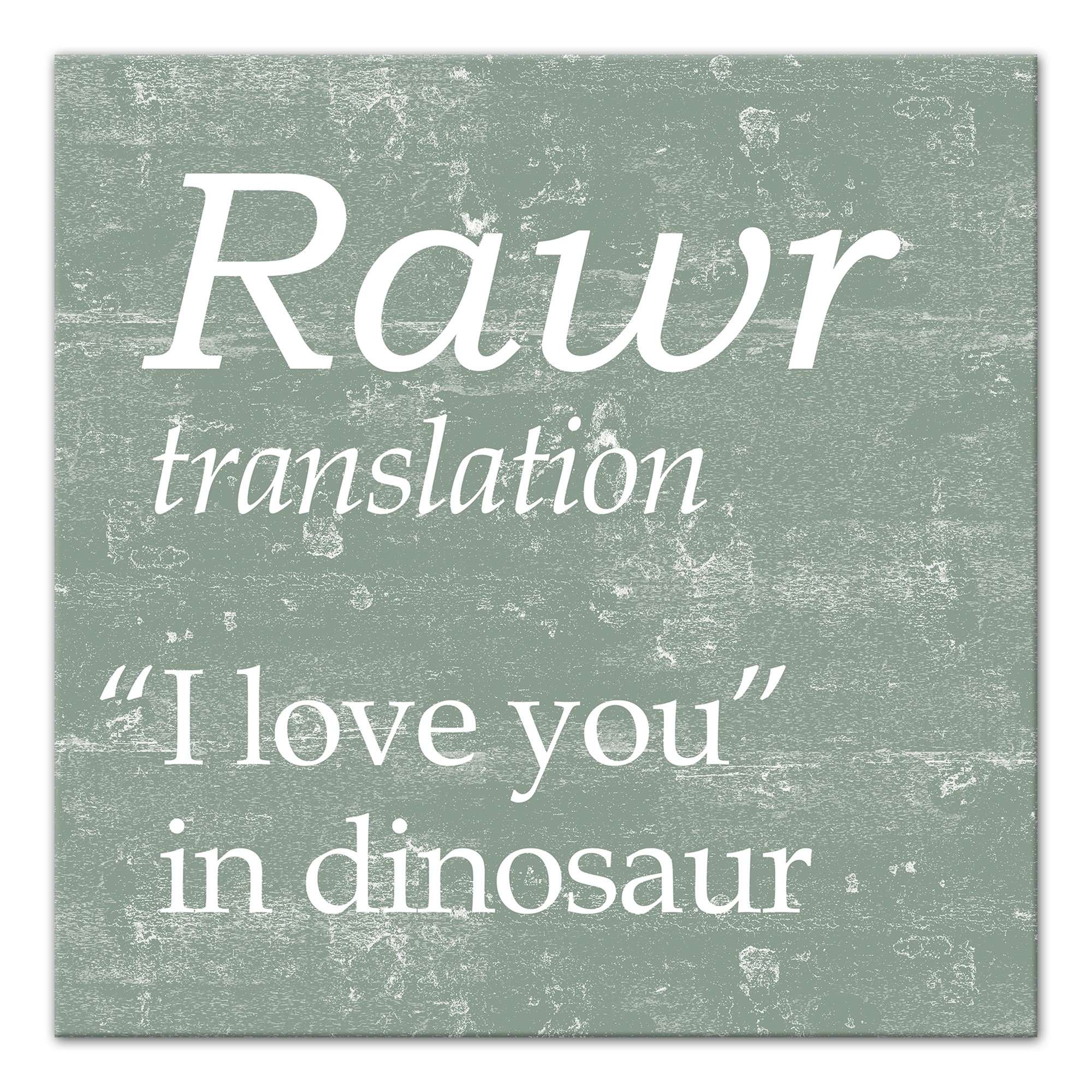 Rawr Translation 12x12 Canvas Wall Art