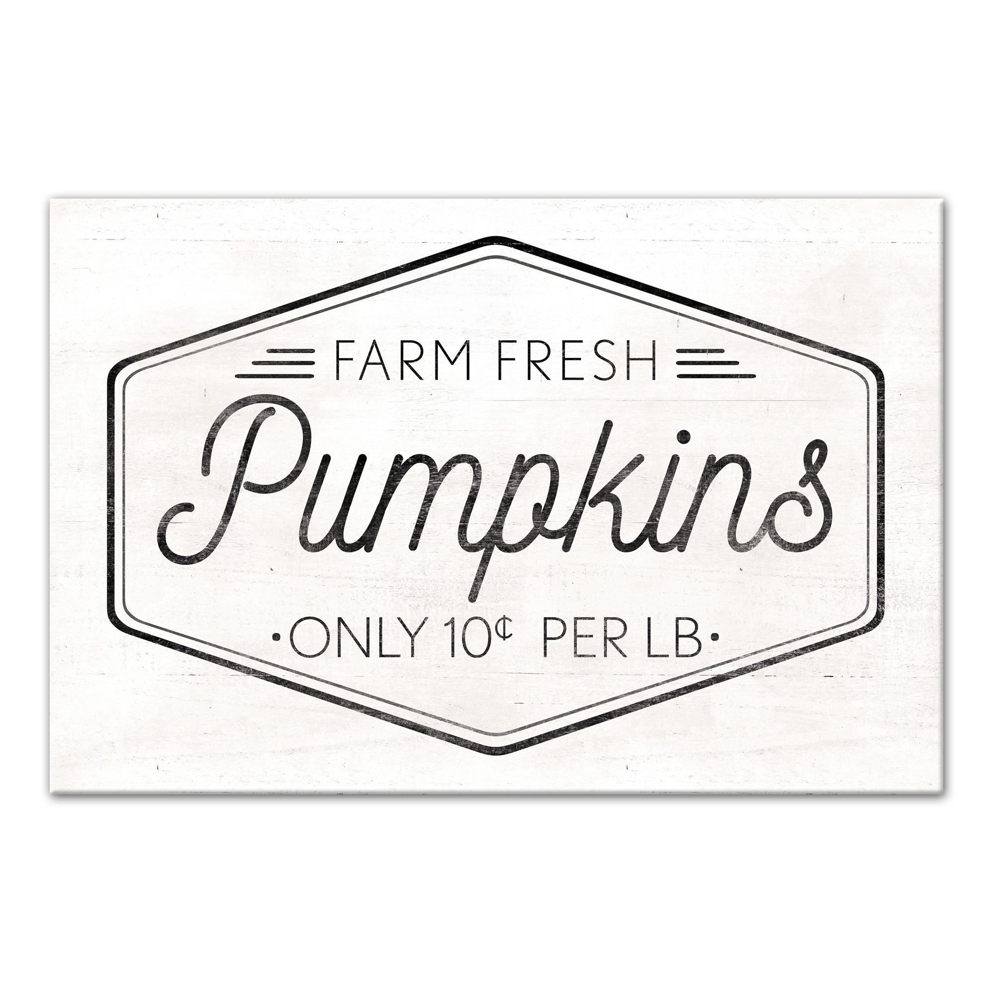 Farm Fresh Pumpkins 16x24 Canvas Wall Art