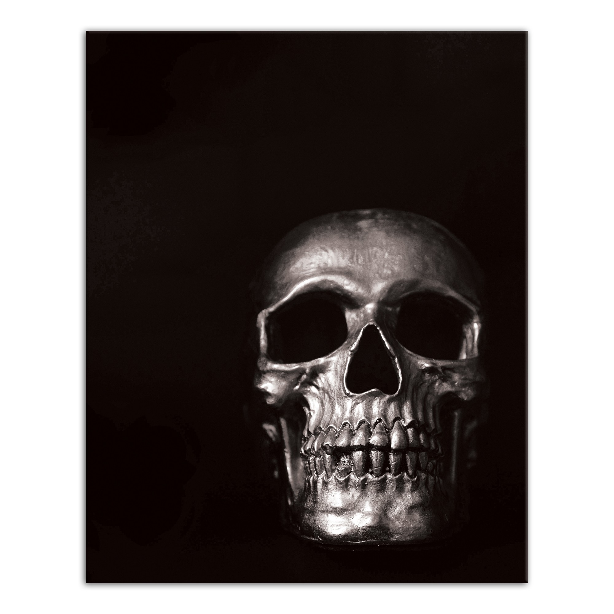 Black and White Skull 16x20 Canvas Wall Art