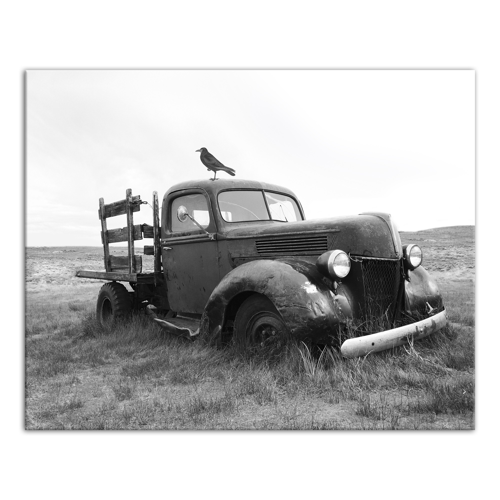 Black and White Truck in Field 16x20 Canvas Wall Art