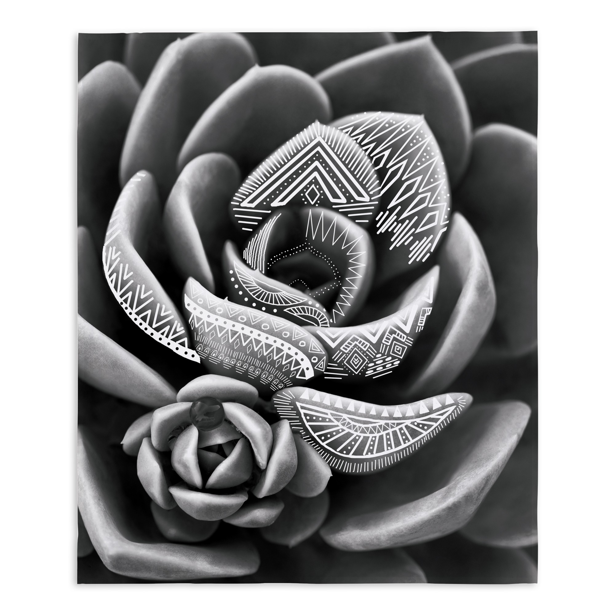 Tribal Succulent 50x60 Tapestry