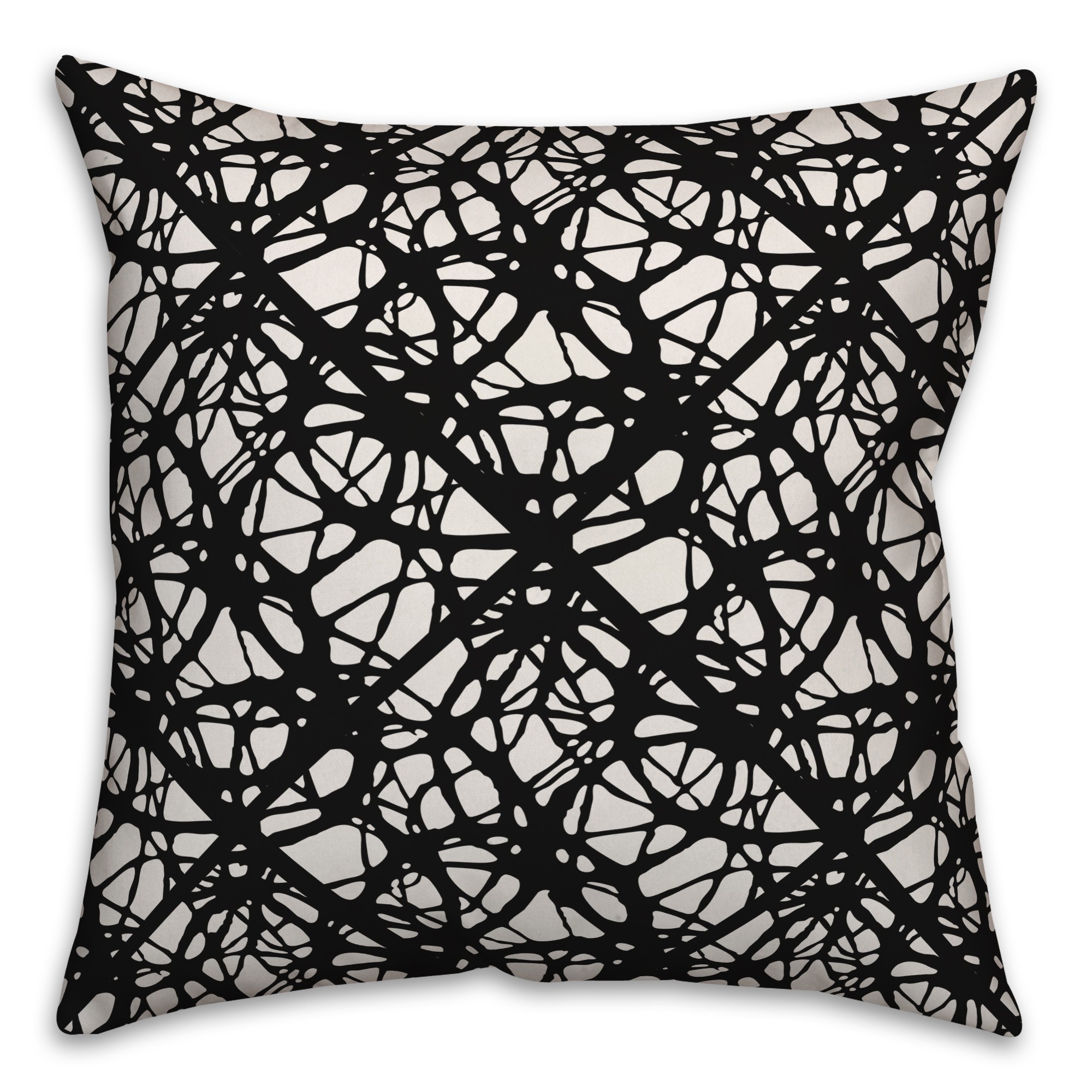 Webby in Black Pillow