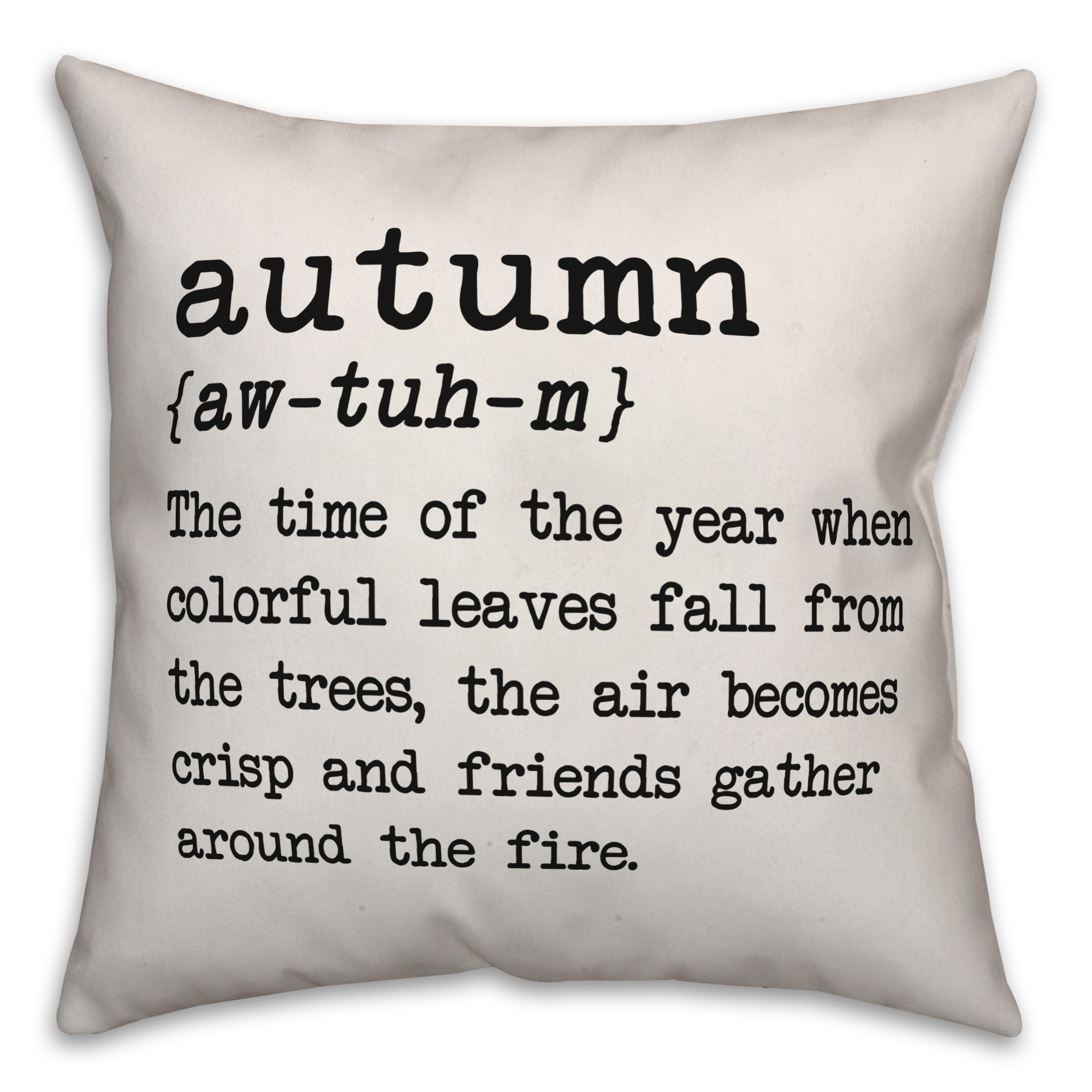 Autumn Definition Pillow