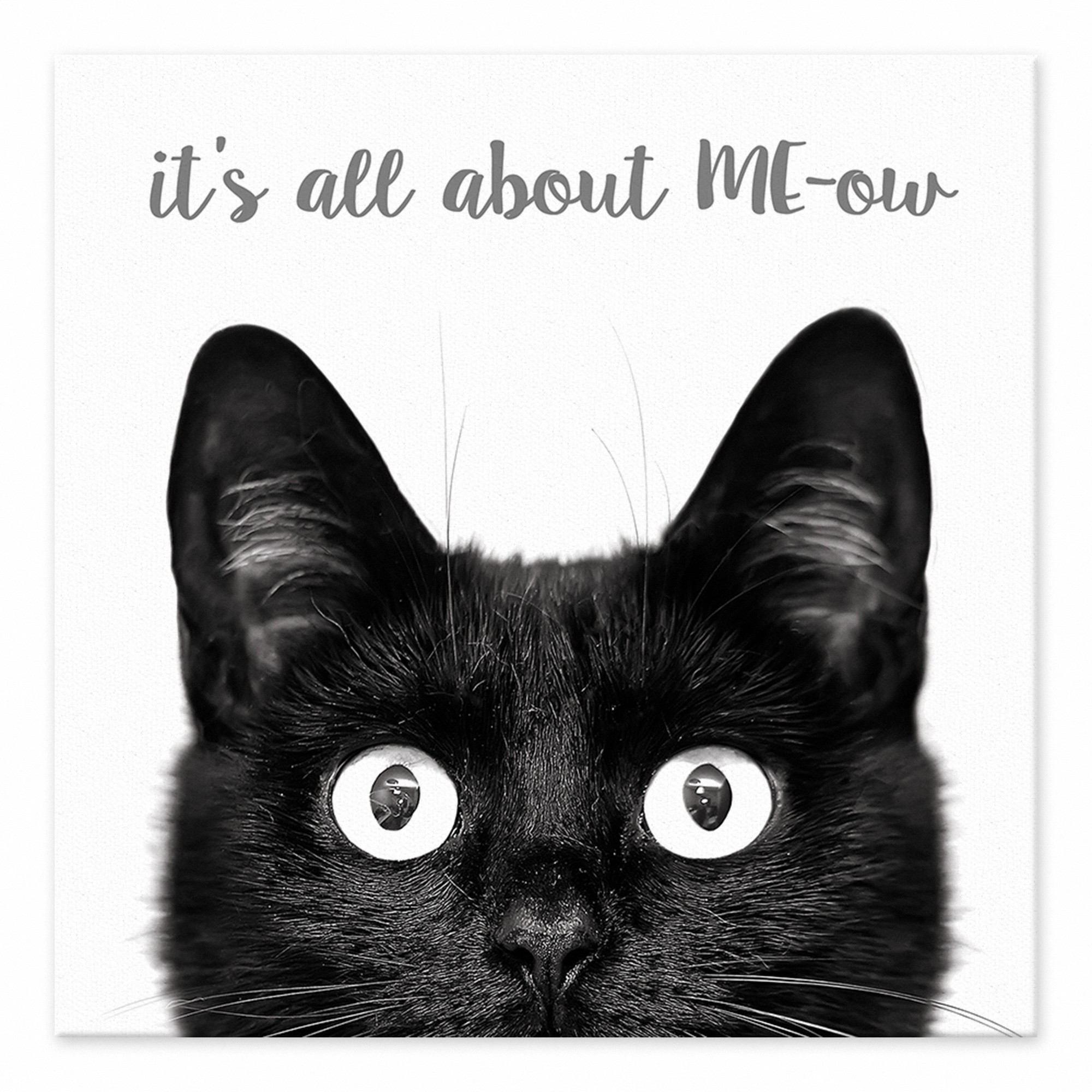 It's All about ME-ow 6x6 Tabletop Canvas