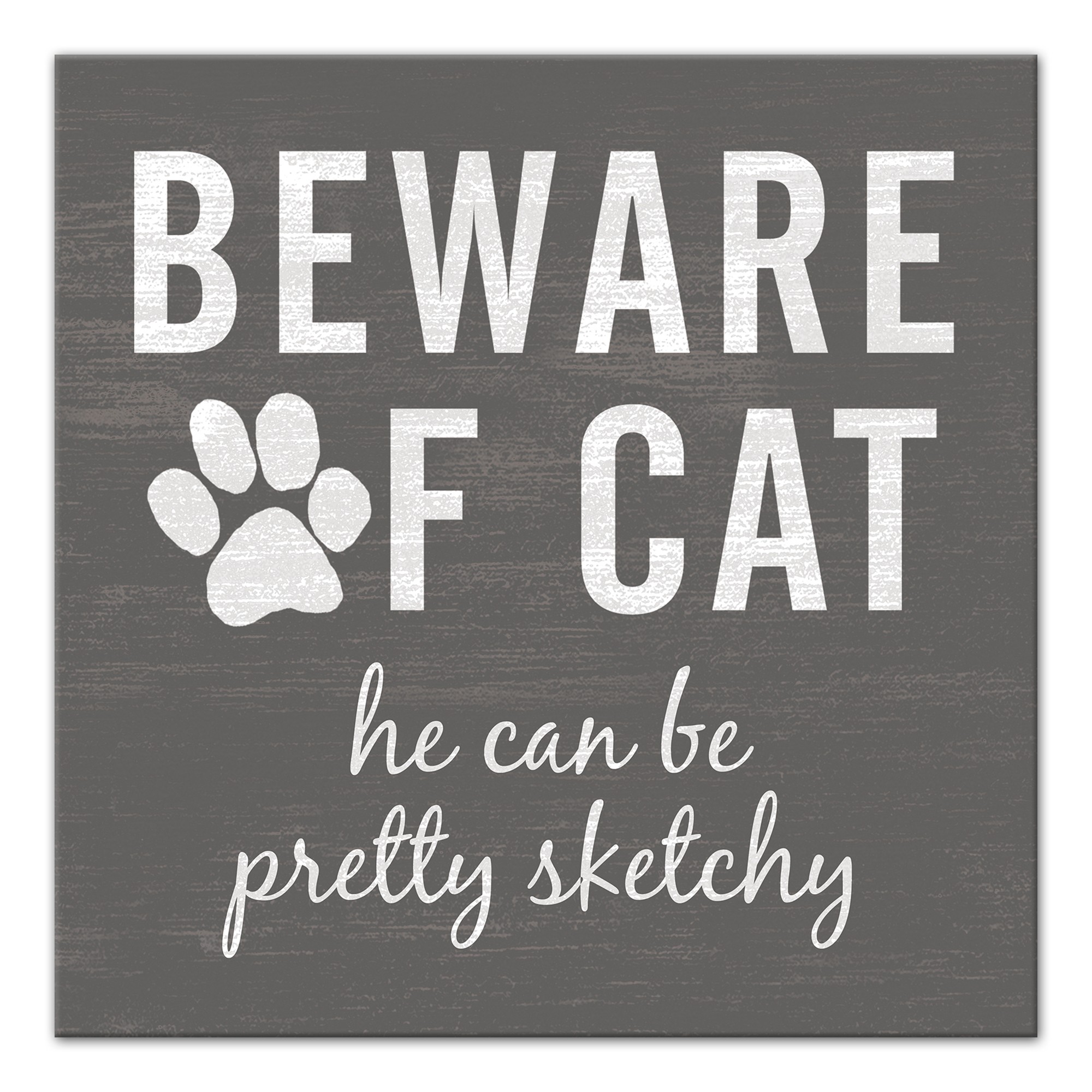 Sketchy Cat 12x12 Canvas Wall Art