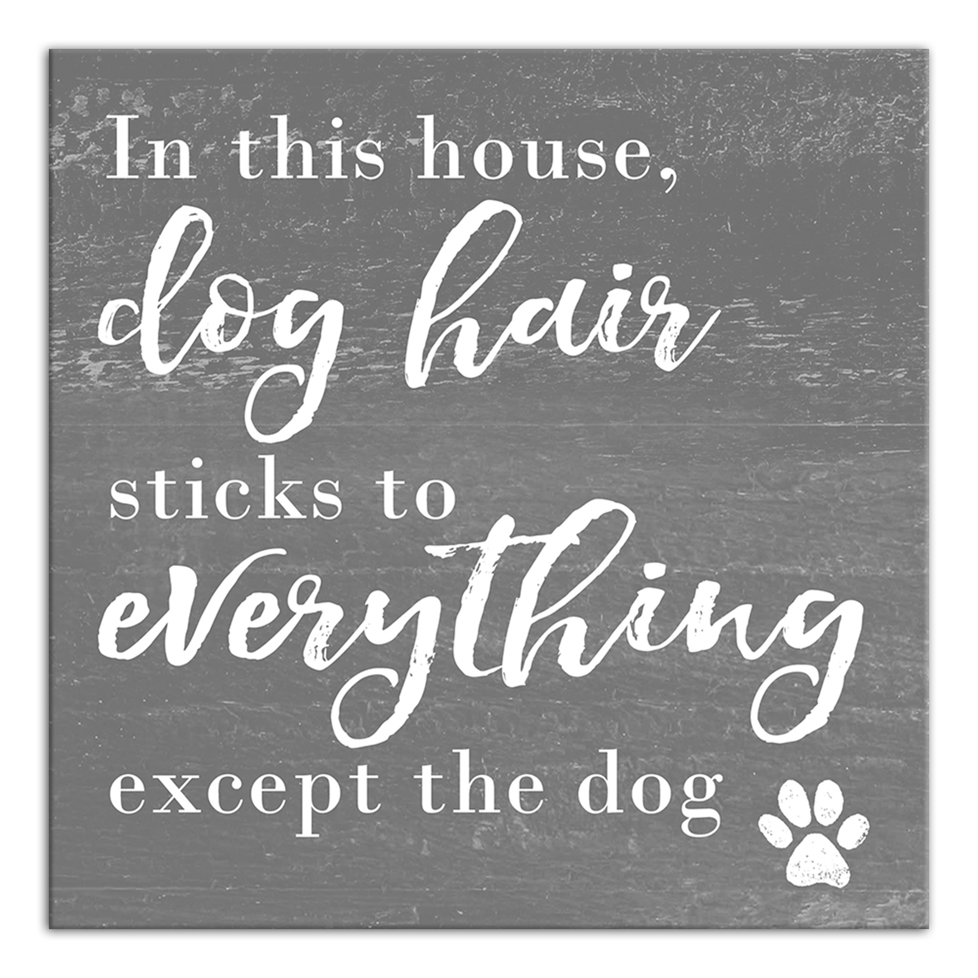 Dog Hair 12x12 Canvas Wall Art