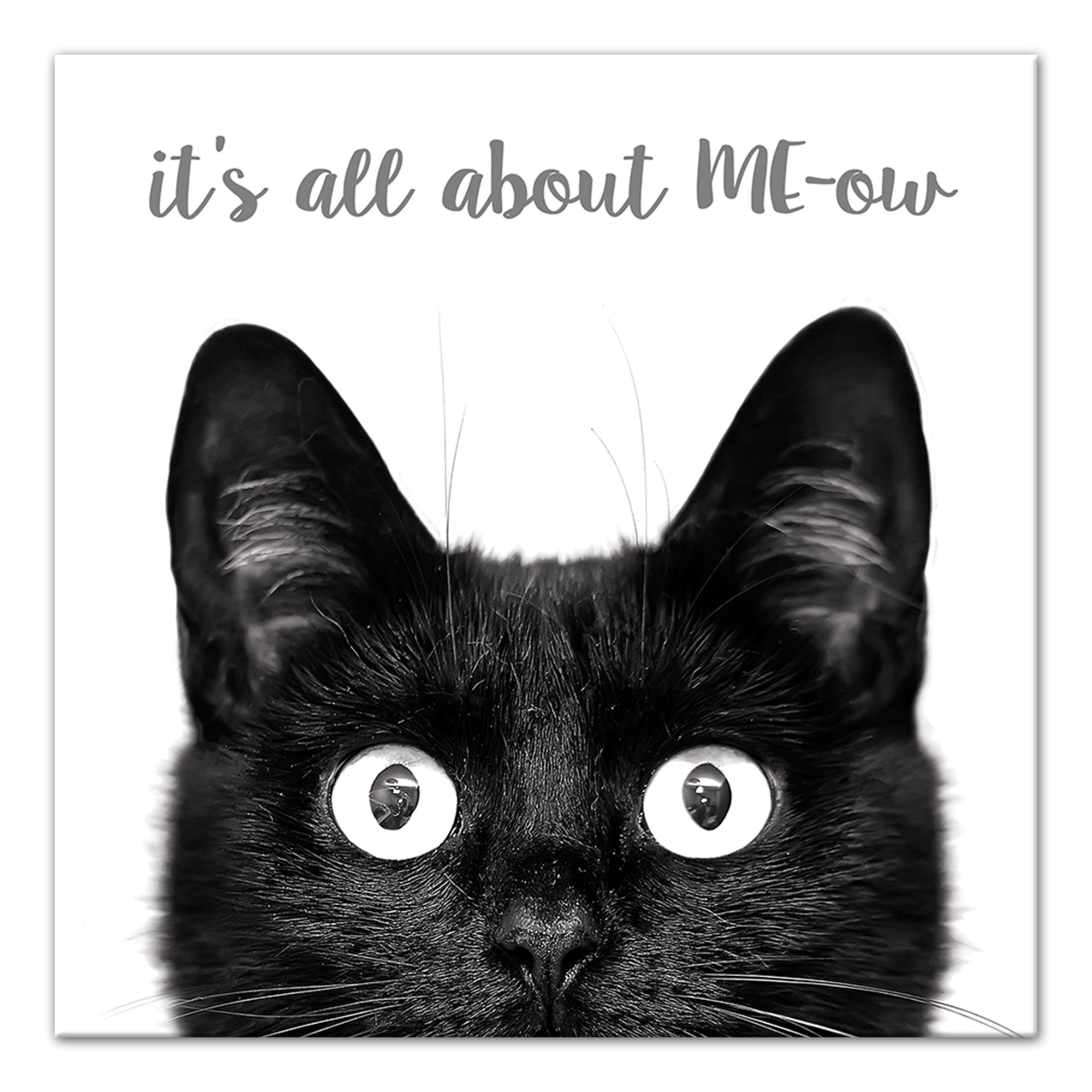 It's All about ME-ow 12x12 Canvas Wall Art