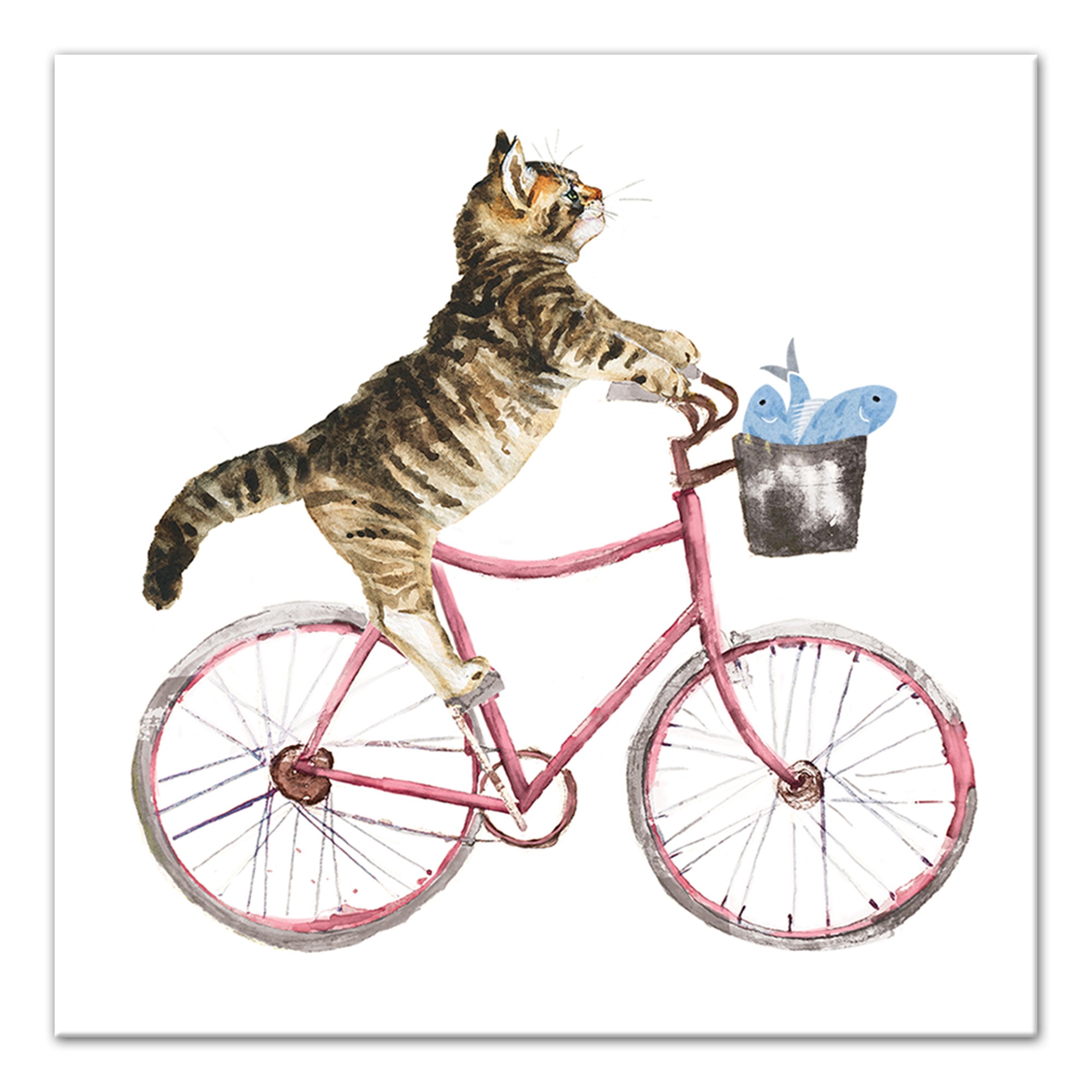 Cat on Bike 12x12 Canvas Wall Art