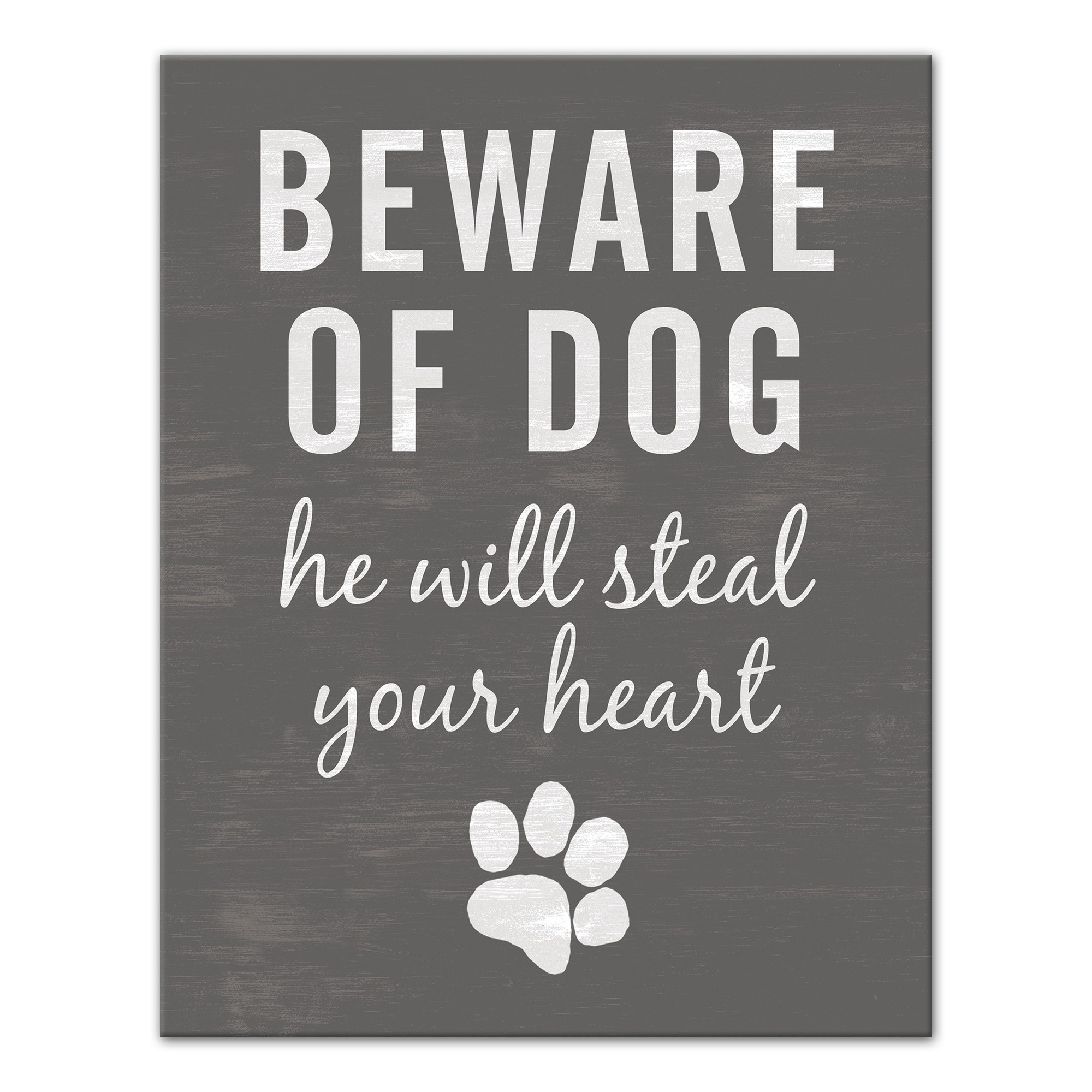 Dog Will Steal Your Heart 11x14 Canvas Wall Art