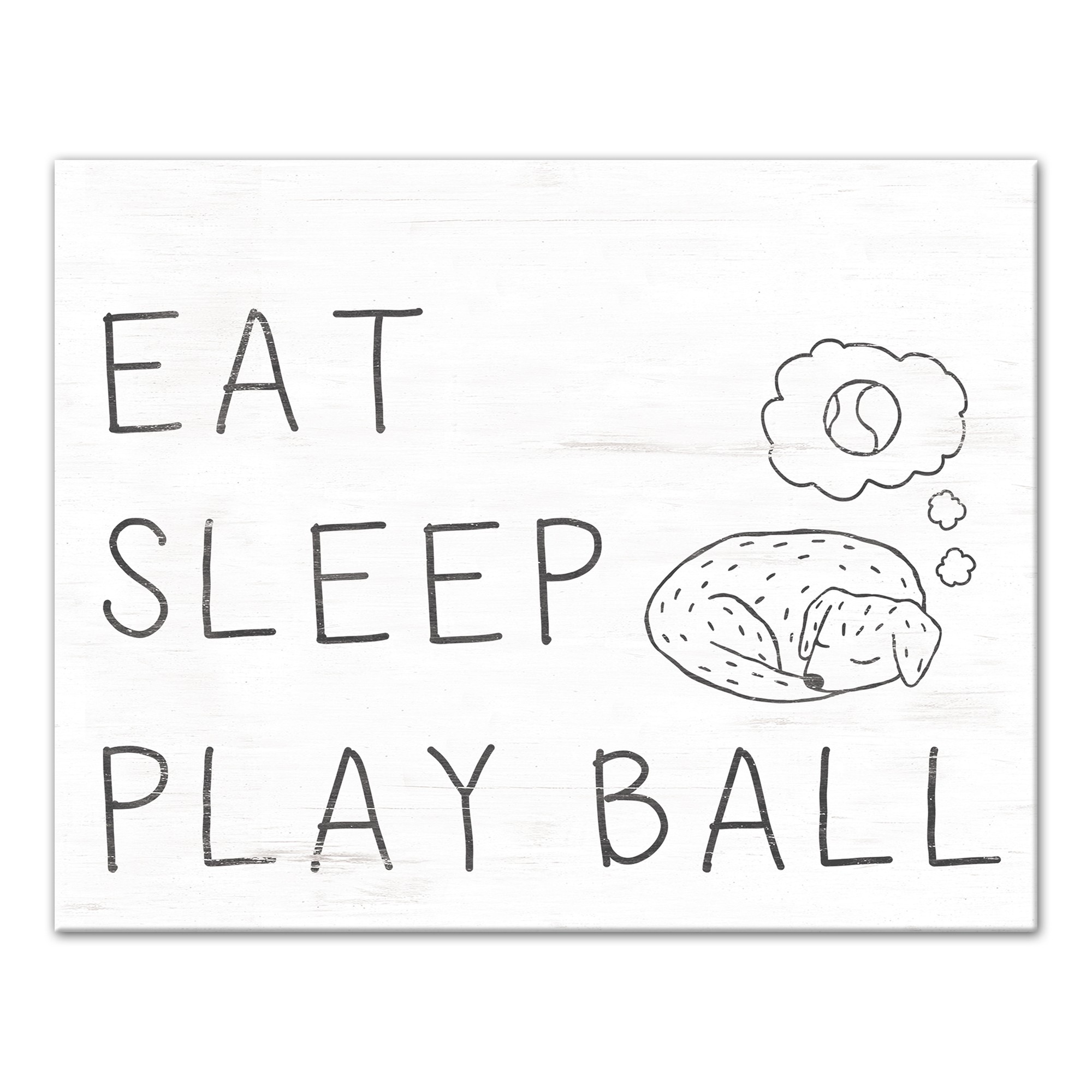 Eat Sleep Play Ball 11x14 Canvas Wall Art