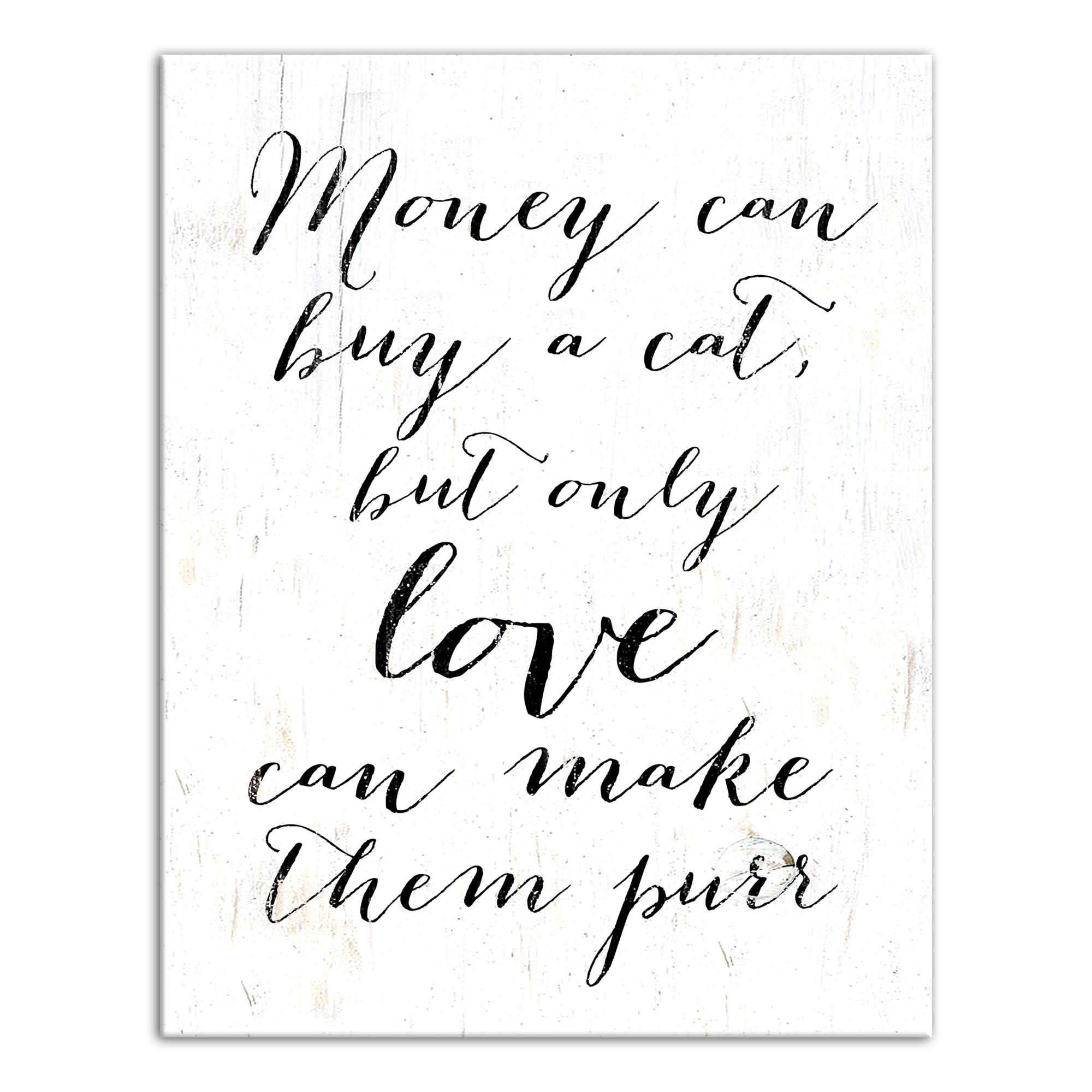 Money Can Buy a Cat  11x14 Canvas Wall Art