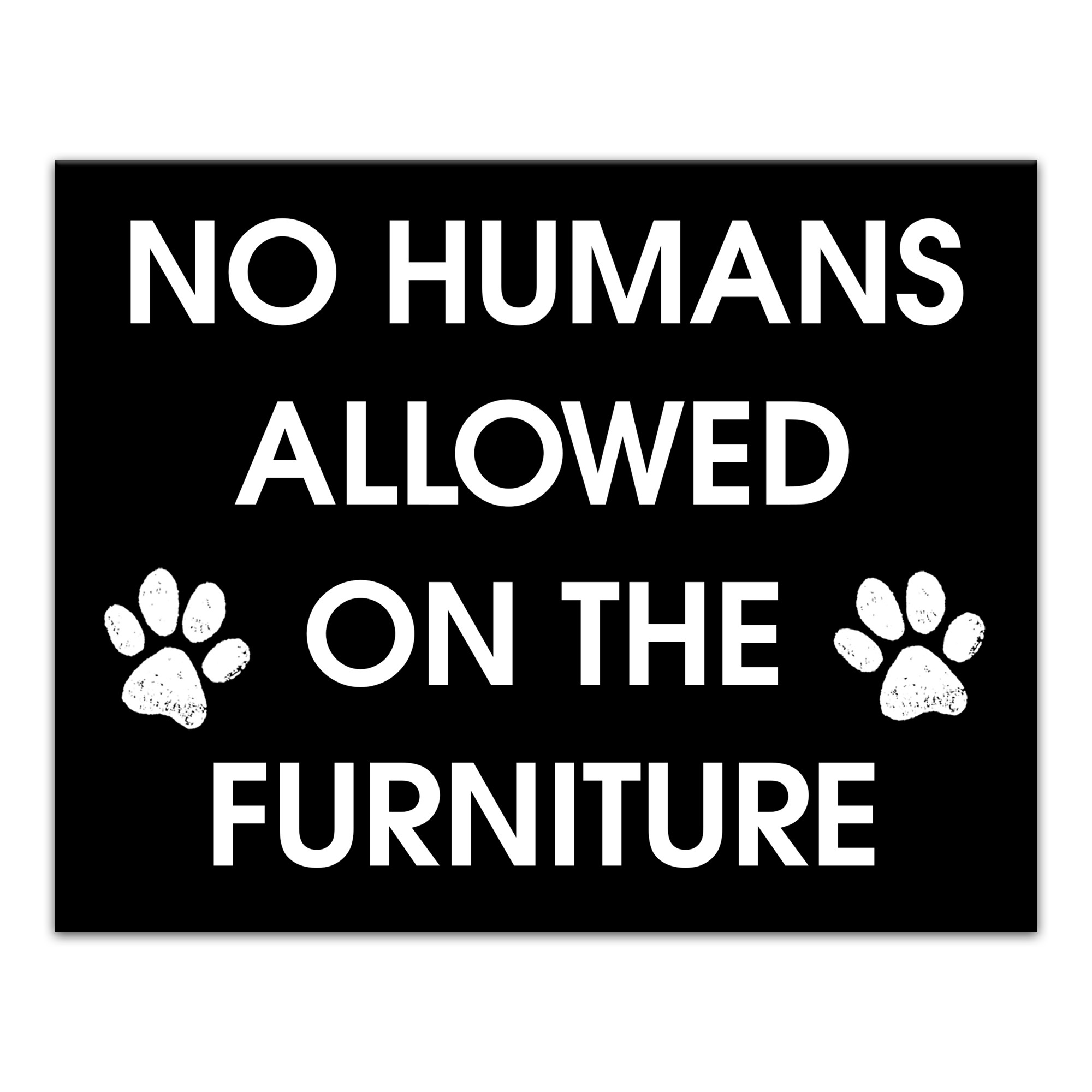 No Humans Allowen On The Furniture 11x14 Canvas Wall Art