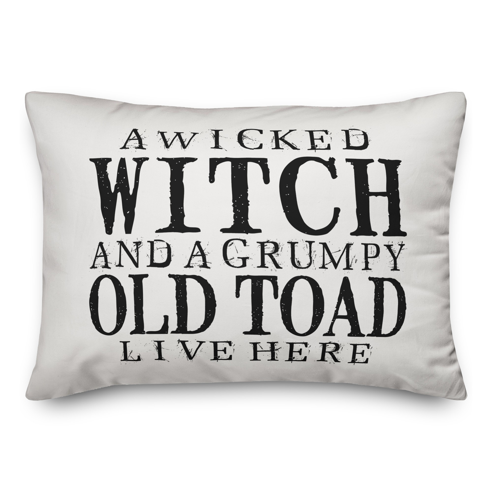 A Wicked Witch and Grumpy Toad Pillow