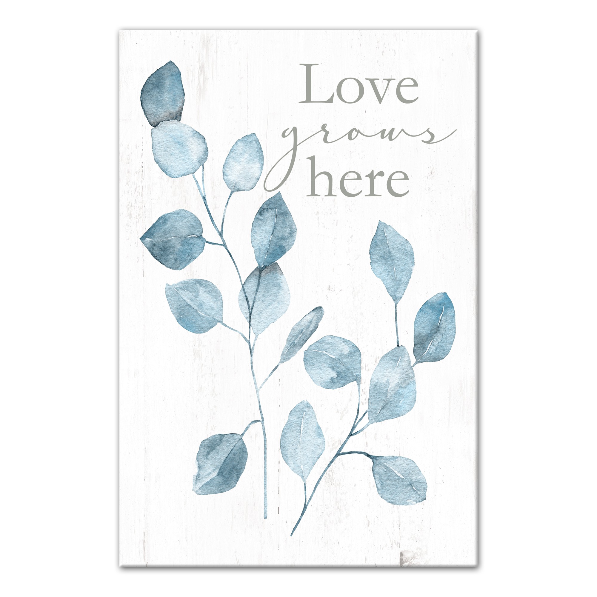 Love Grows Here Eucalyptus 16x24 Canvas Wall Art
