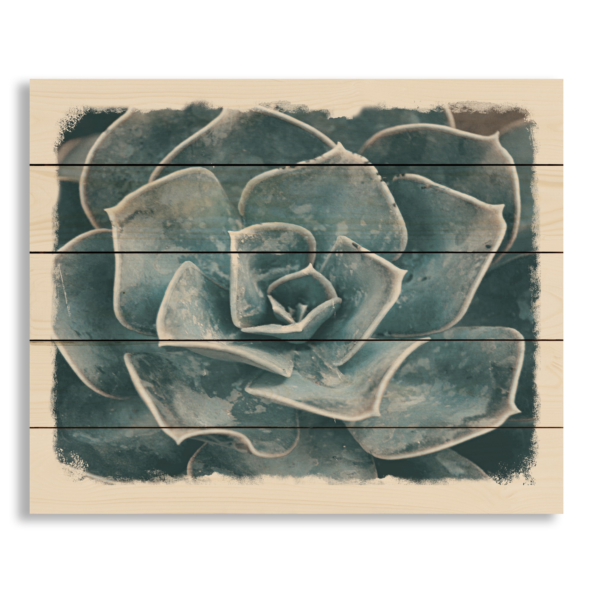 Distressed Blue Succulent  22x18 Pallet Wood Art