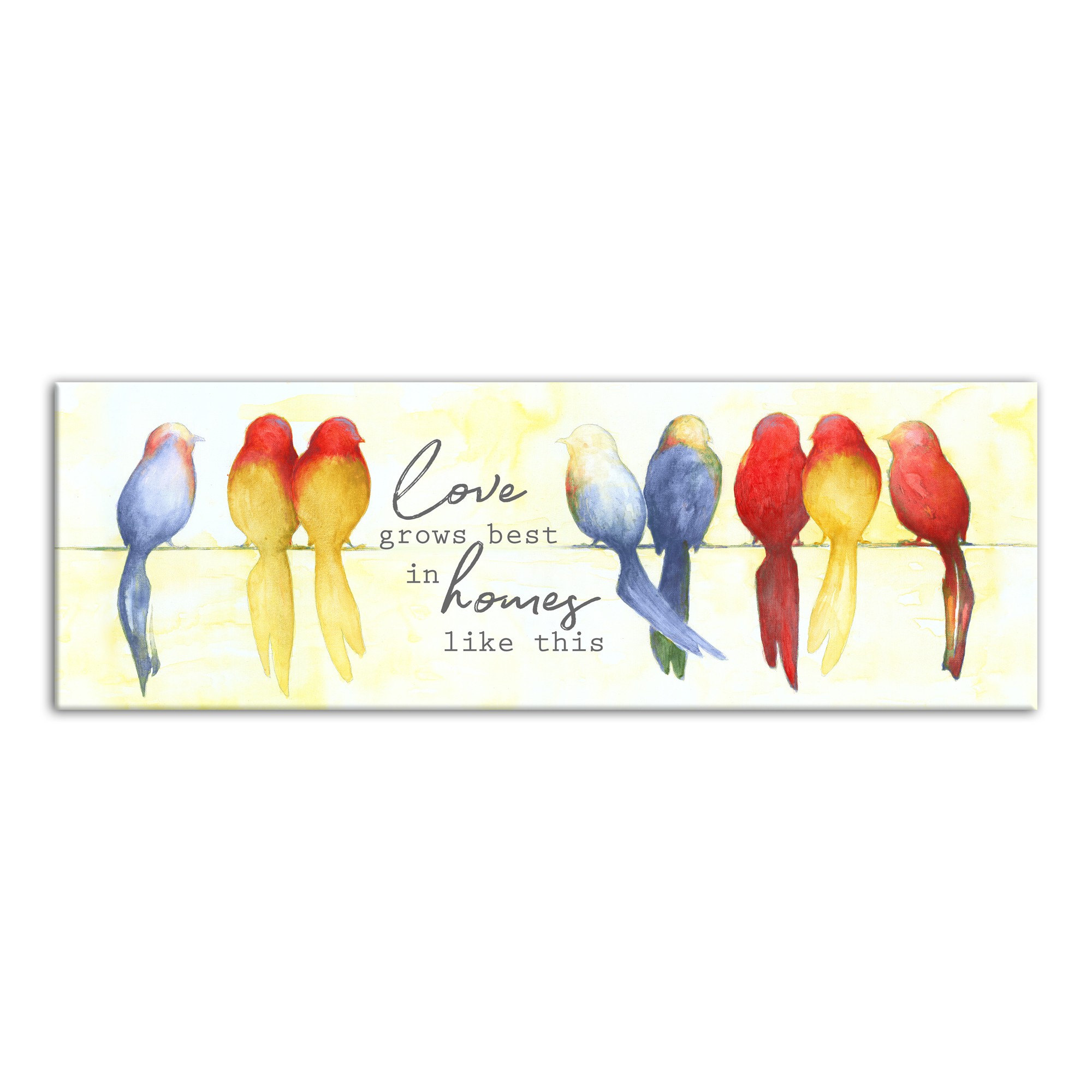 Colorful Love Birds  12x36 Canvas Wall Art