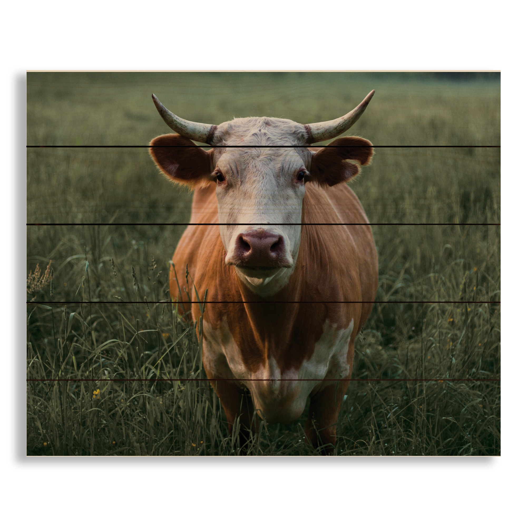 Calm Cow 22x18 Pallet Wood Art