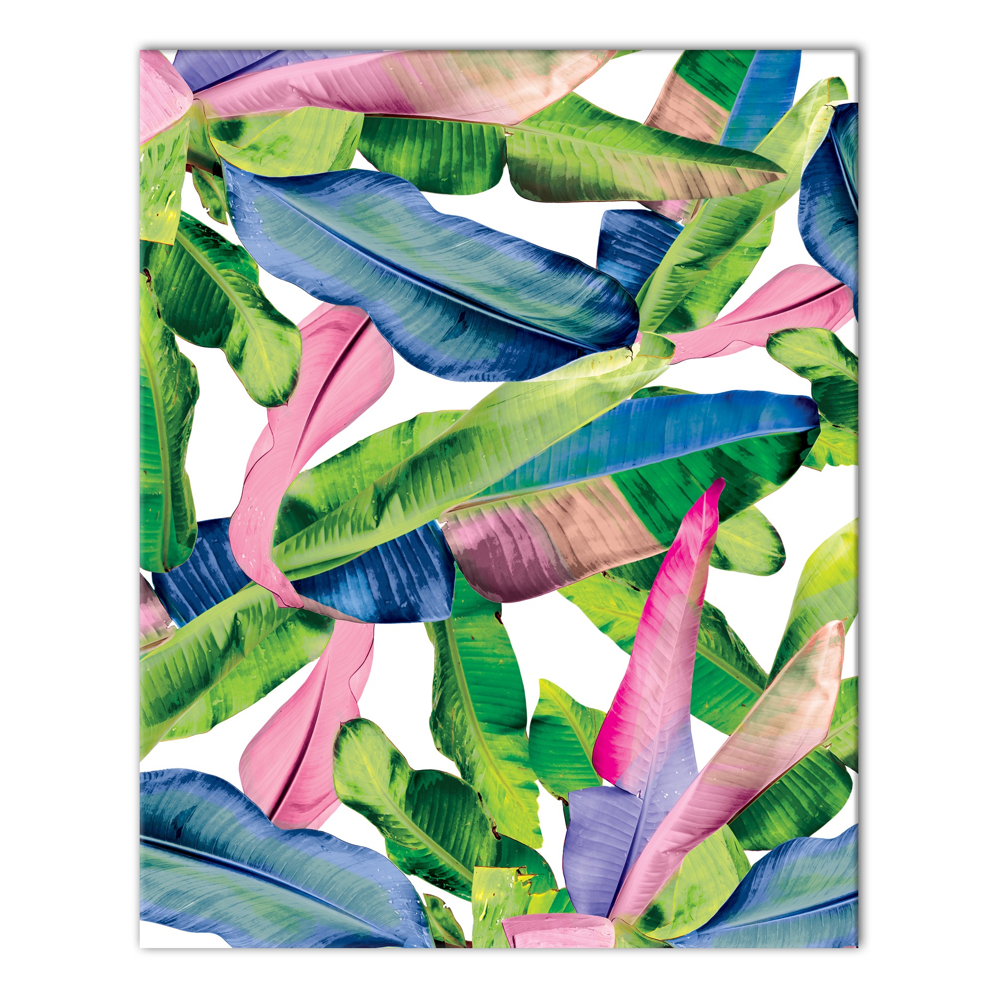 Colorful Banana Leaves 16x20 Canvas Wall Art
