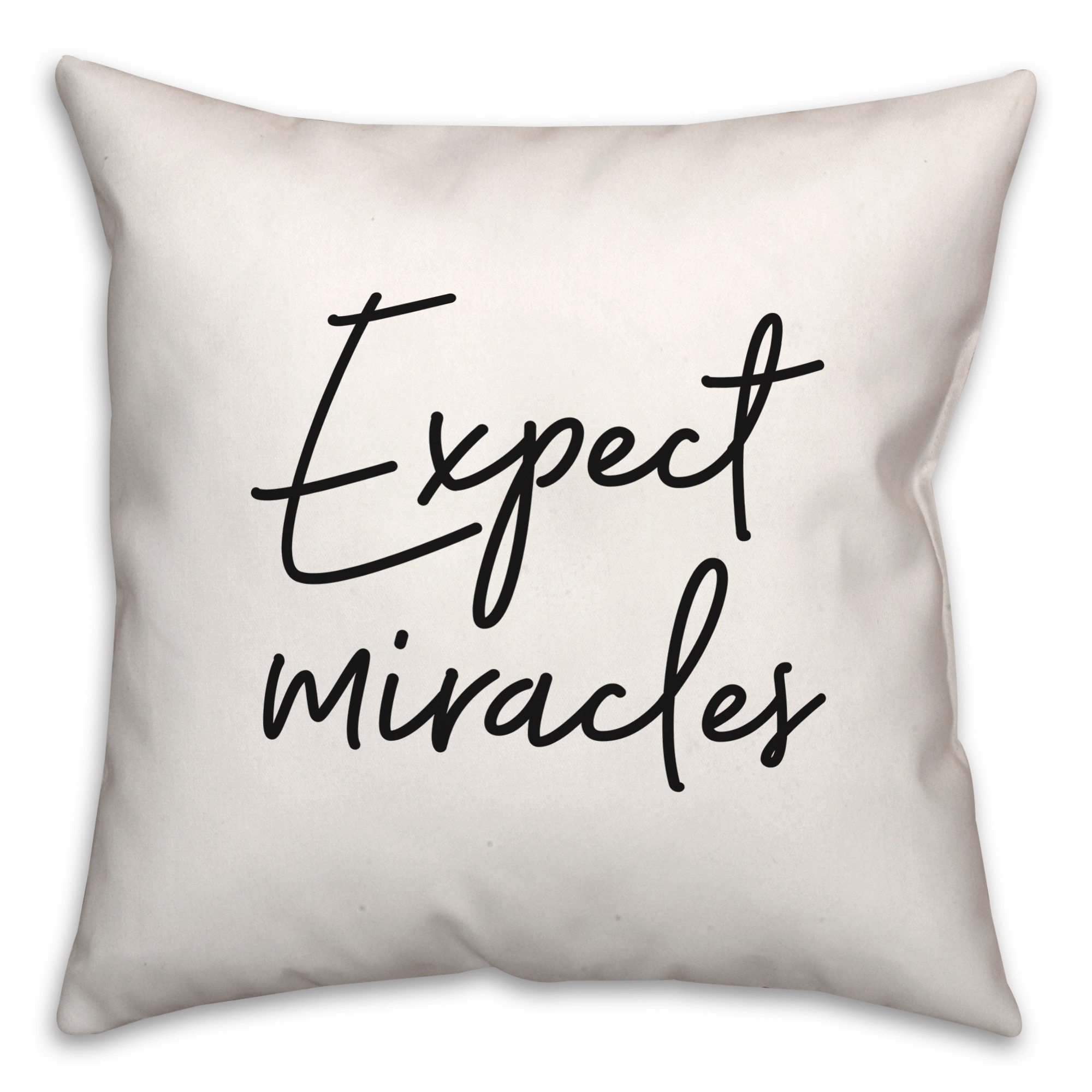 Expect  18x18 Spun Poly Pillow