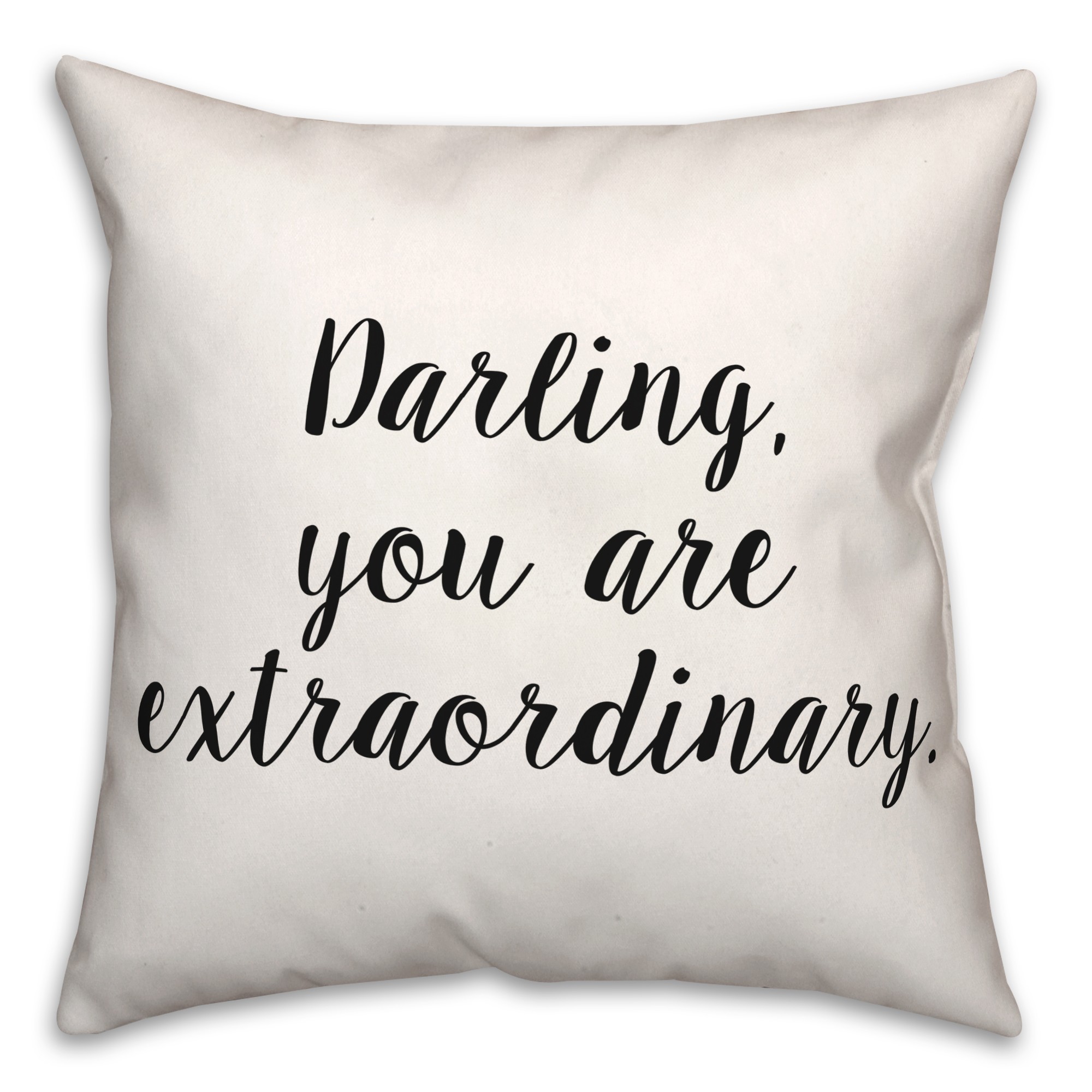 Extraordinary 2  18x18 Spun Poly Pillow