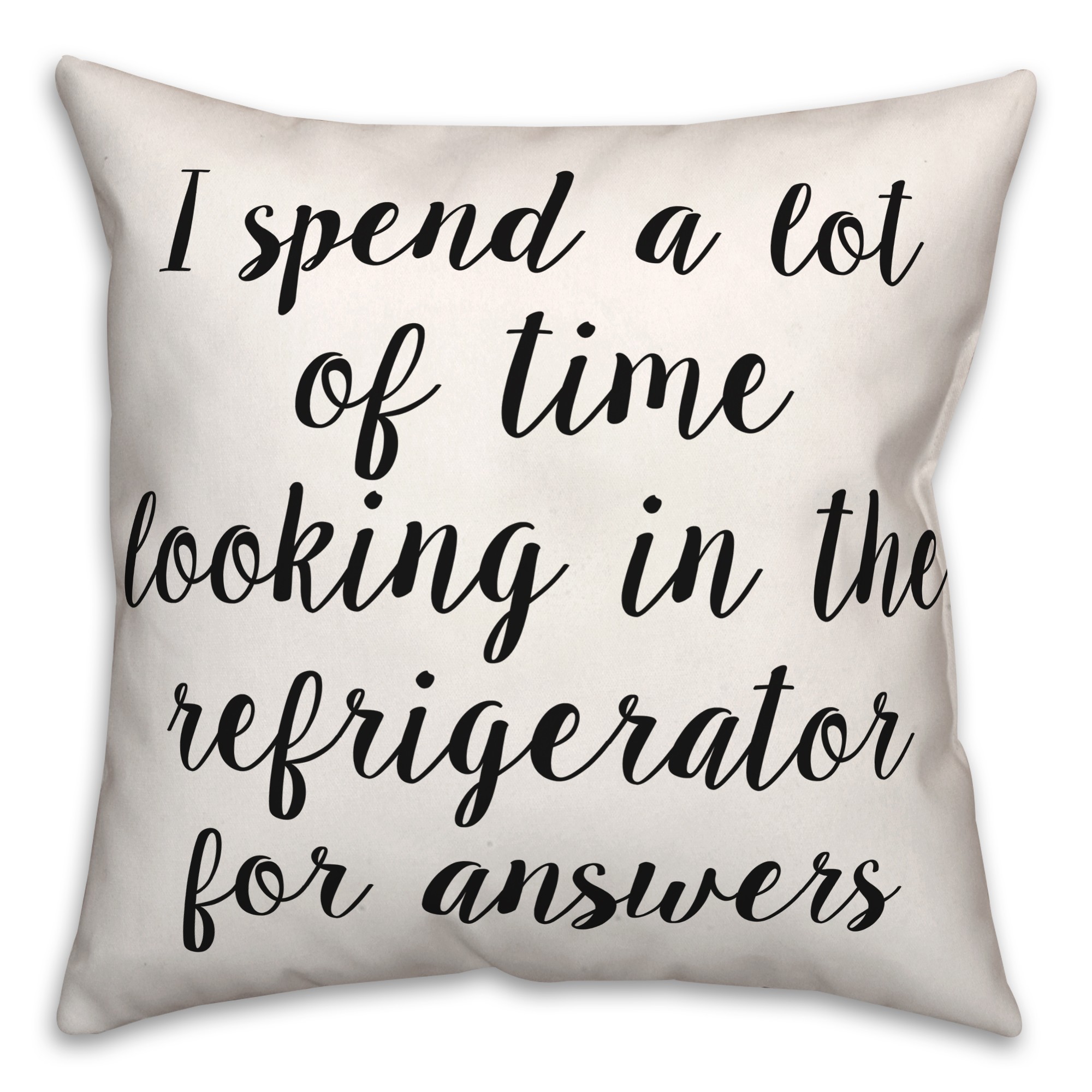 Fridge  18x18 Spun Poly Pillow