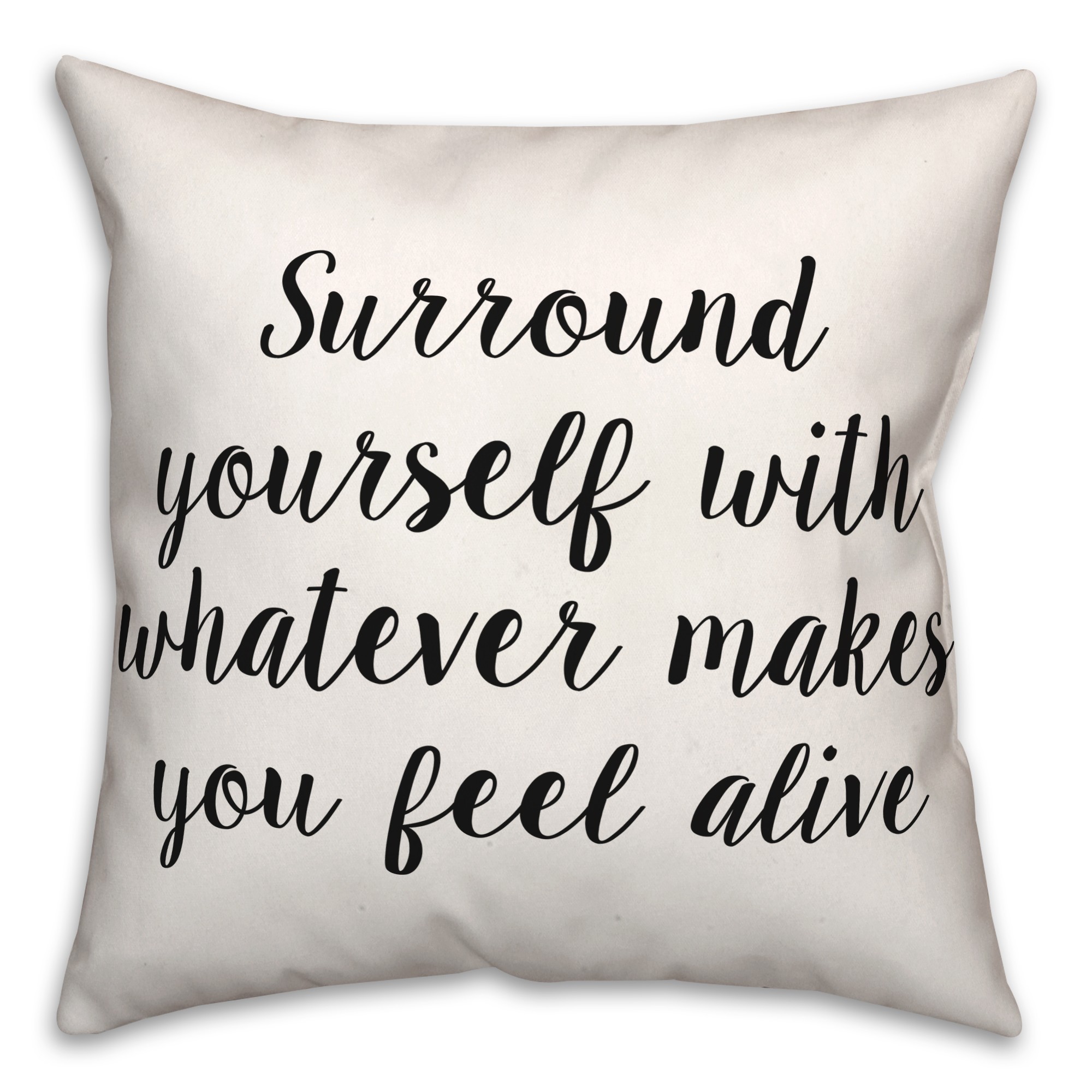 Surround  18x18 Spun Poly Pillow