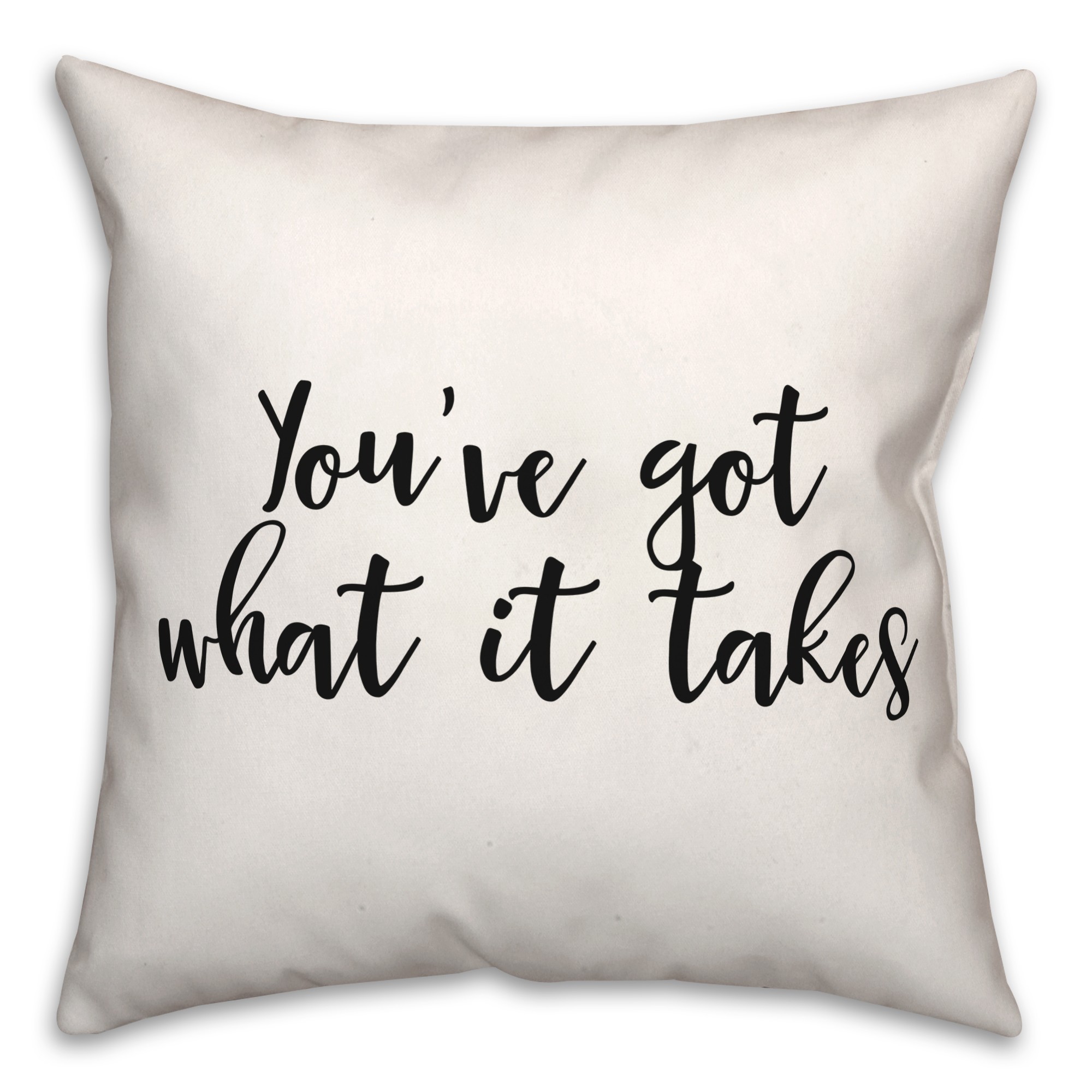 Takes  18x18 Spun Poly Pillow