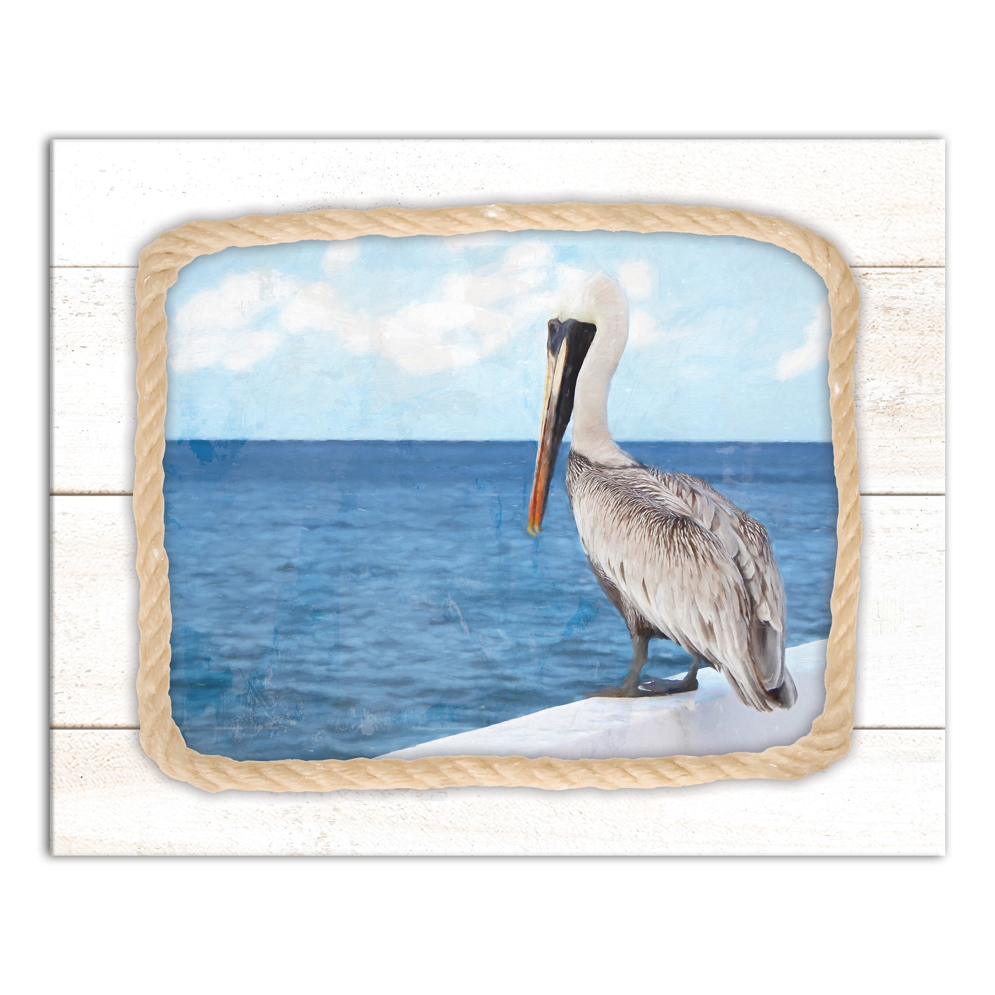 Painted Pelican 16x20 Canvas Wall Art