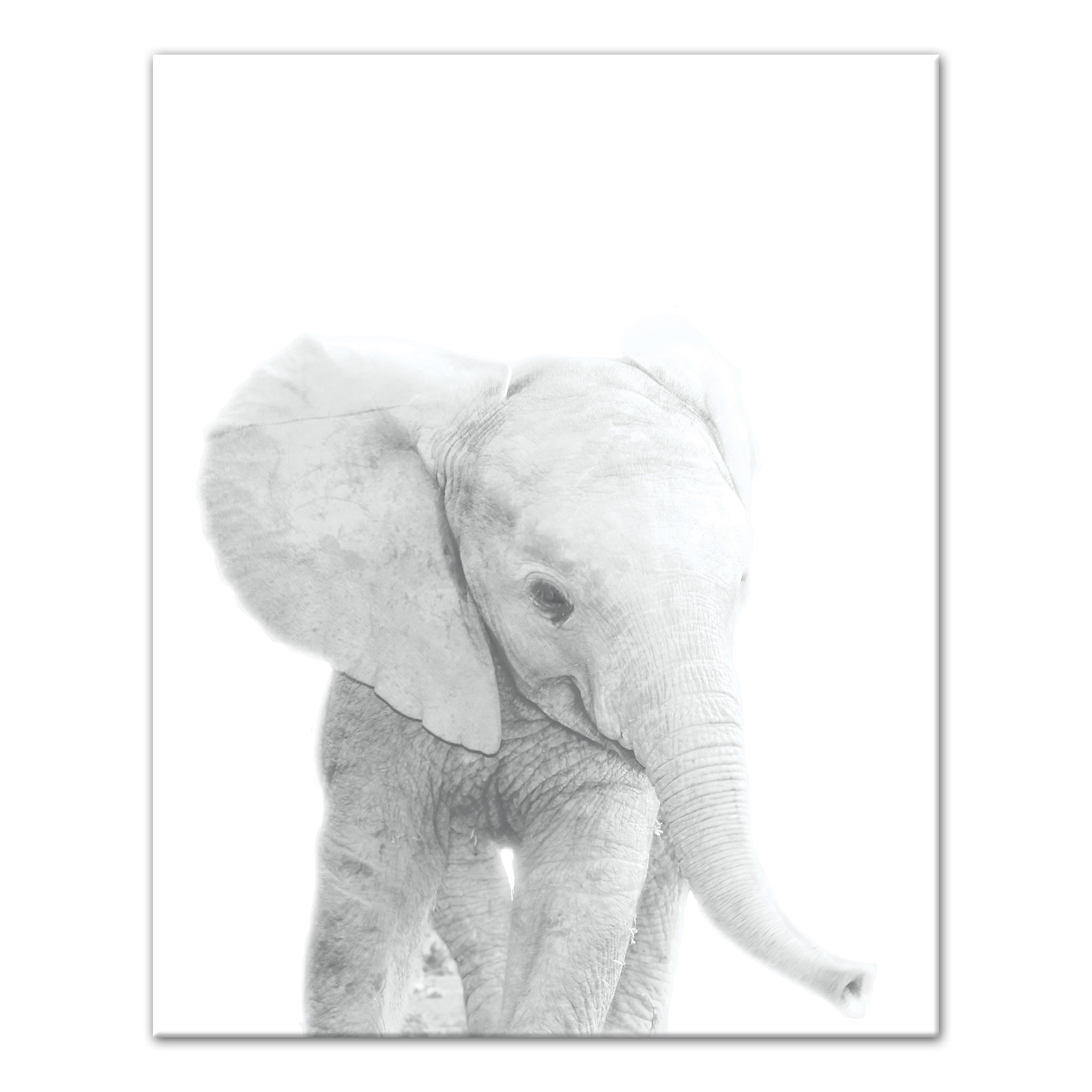 Baby Elephant Wall Art