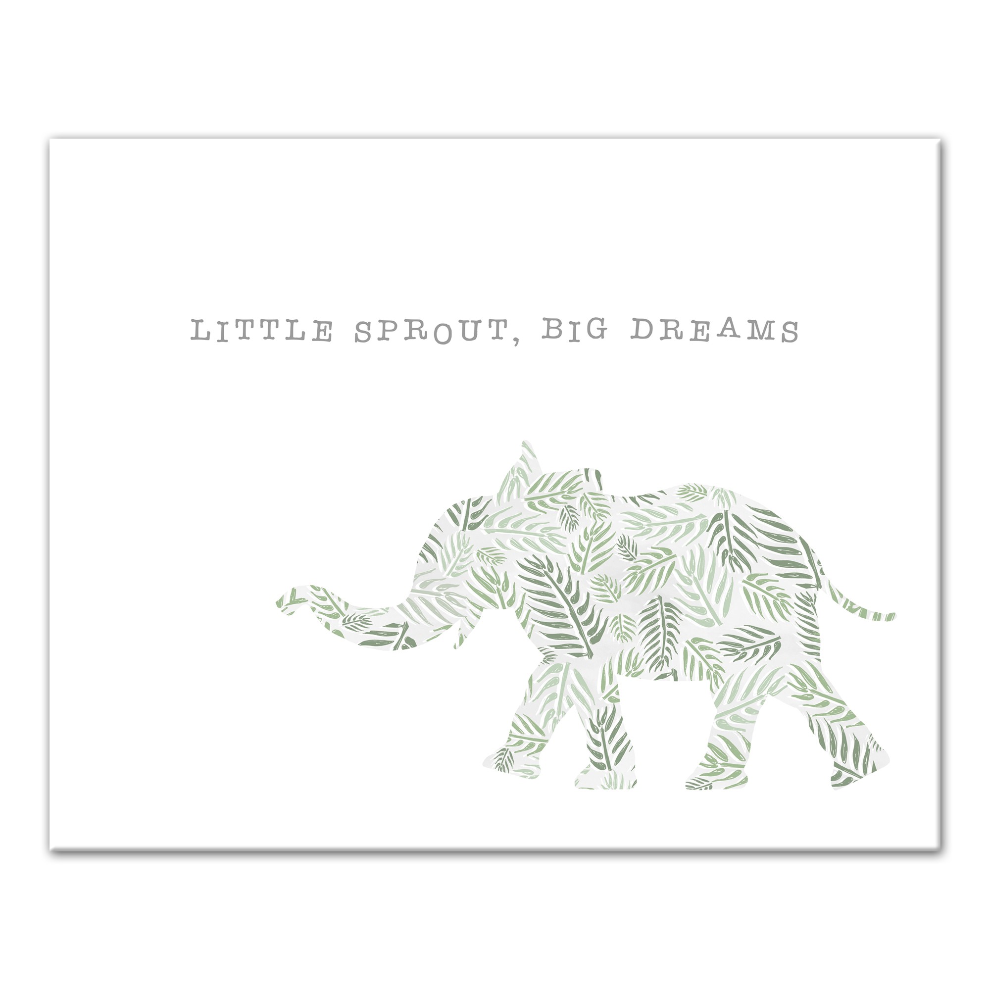 Little Sprout Big Dreams Wall Art