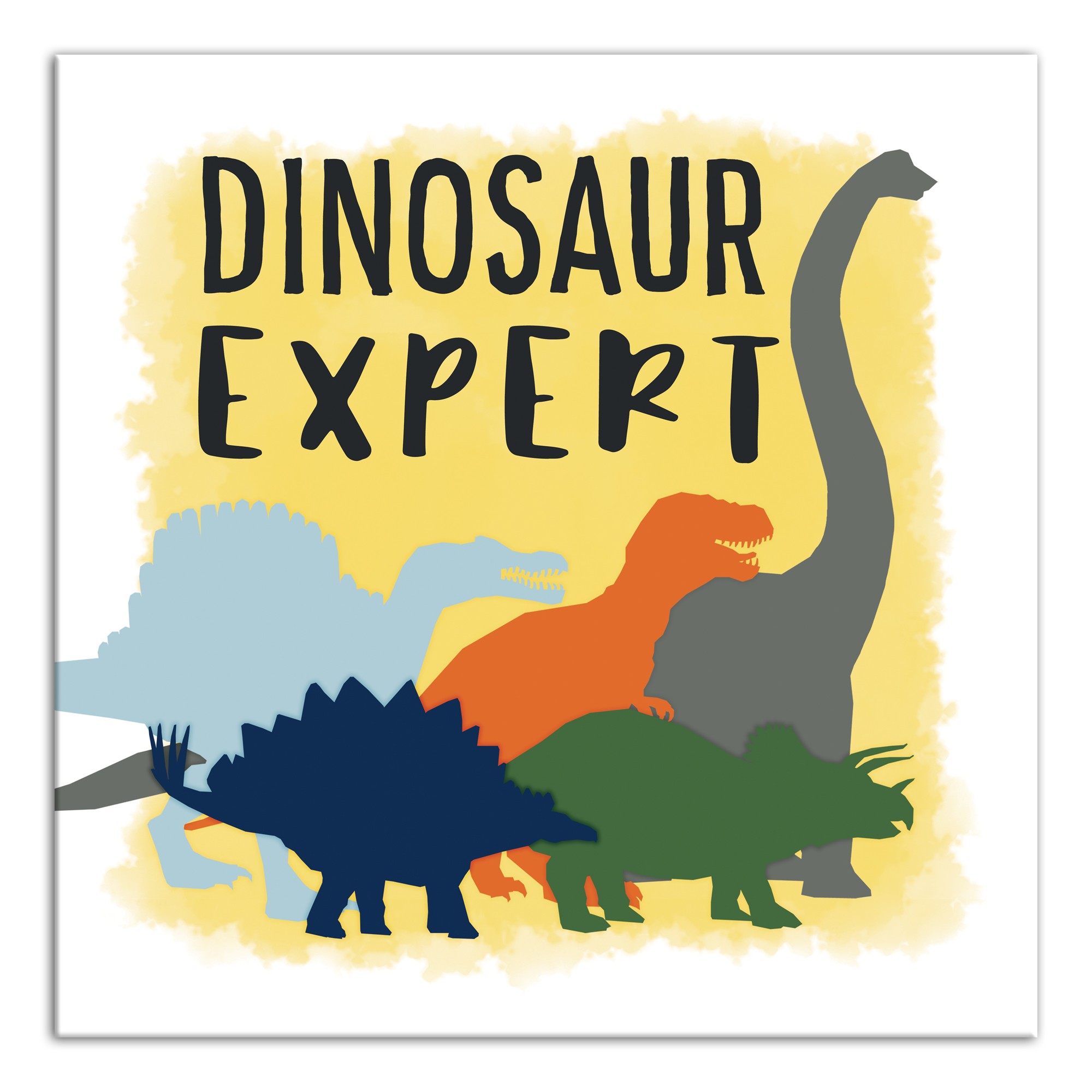 Dinosaur Expert  Wall Art