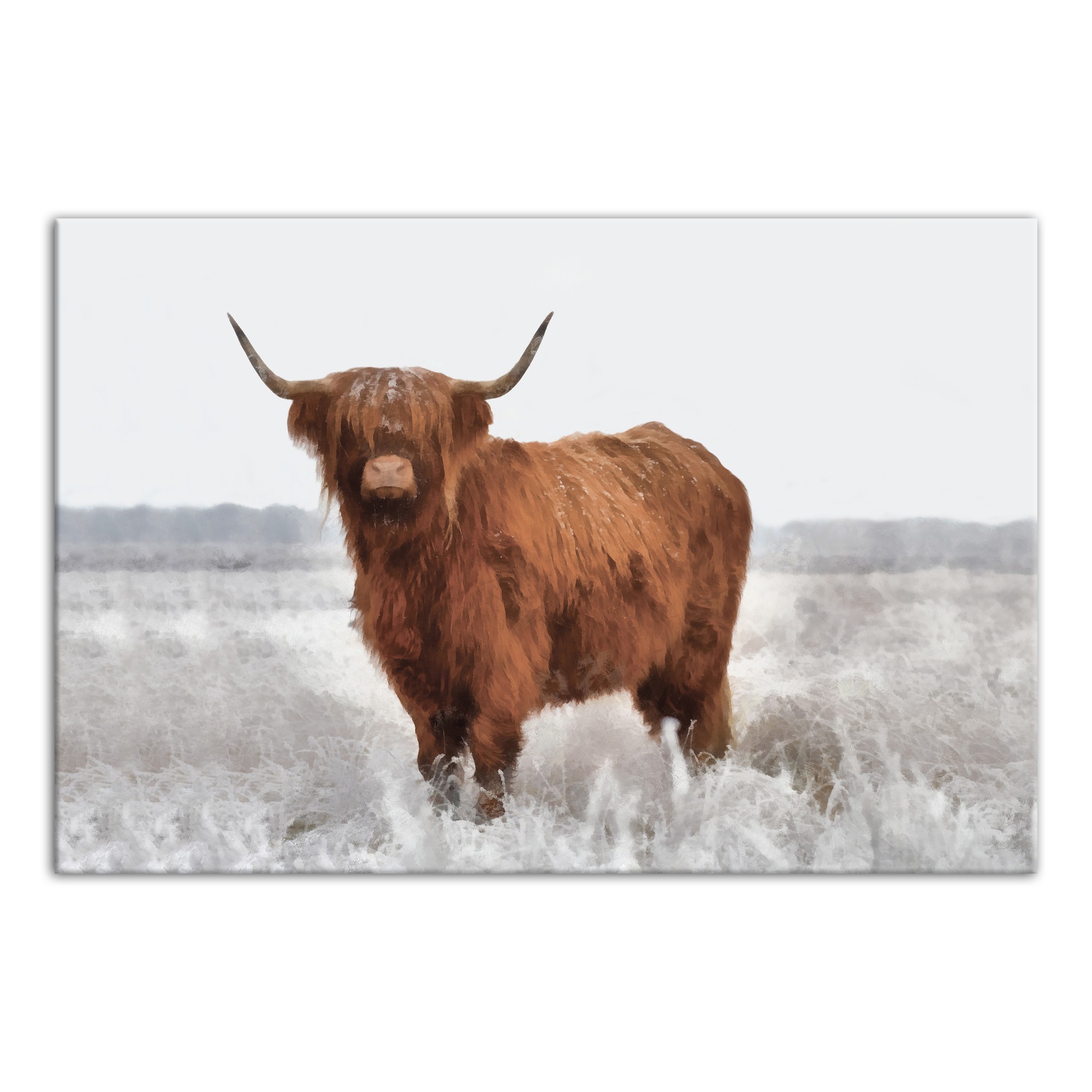 Hairy Highland Cow in Gray Field  Wall Art
