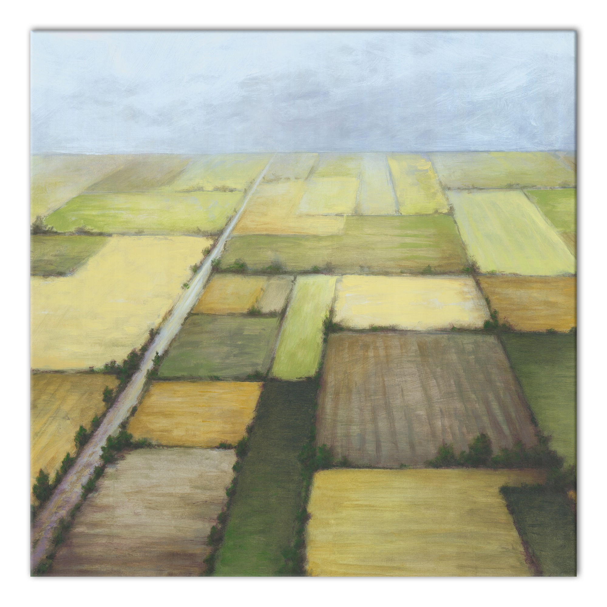 Aerial View of Green Farmland  Wall Art