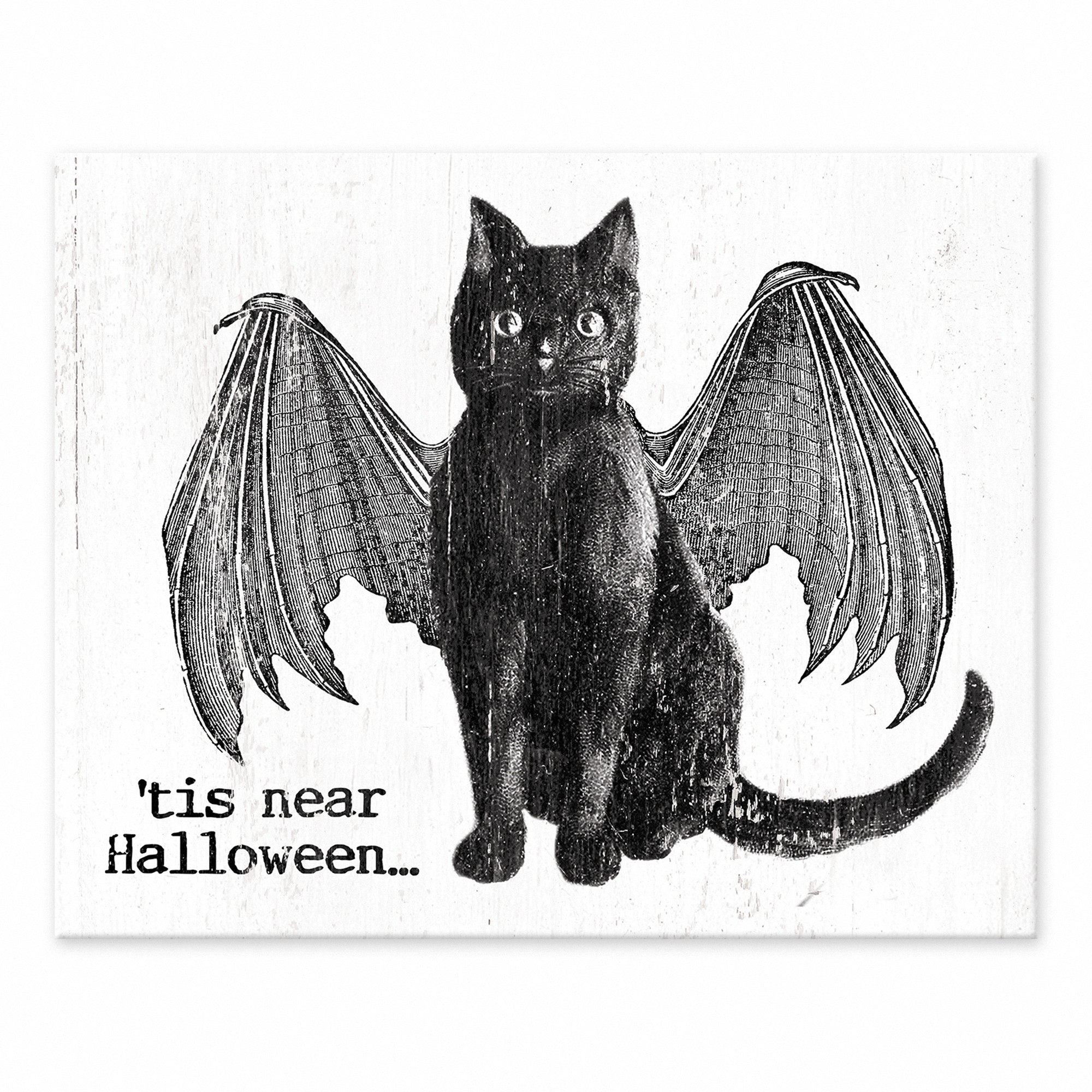 Tis Near Halloween Vampire Cat 8x10 Tabletop Canvas