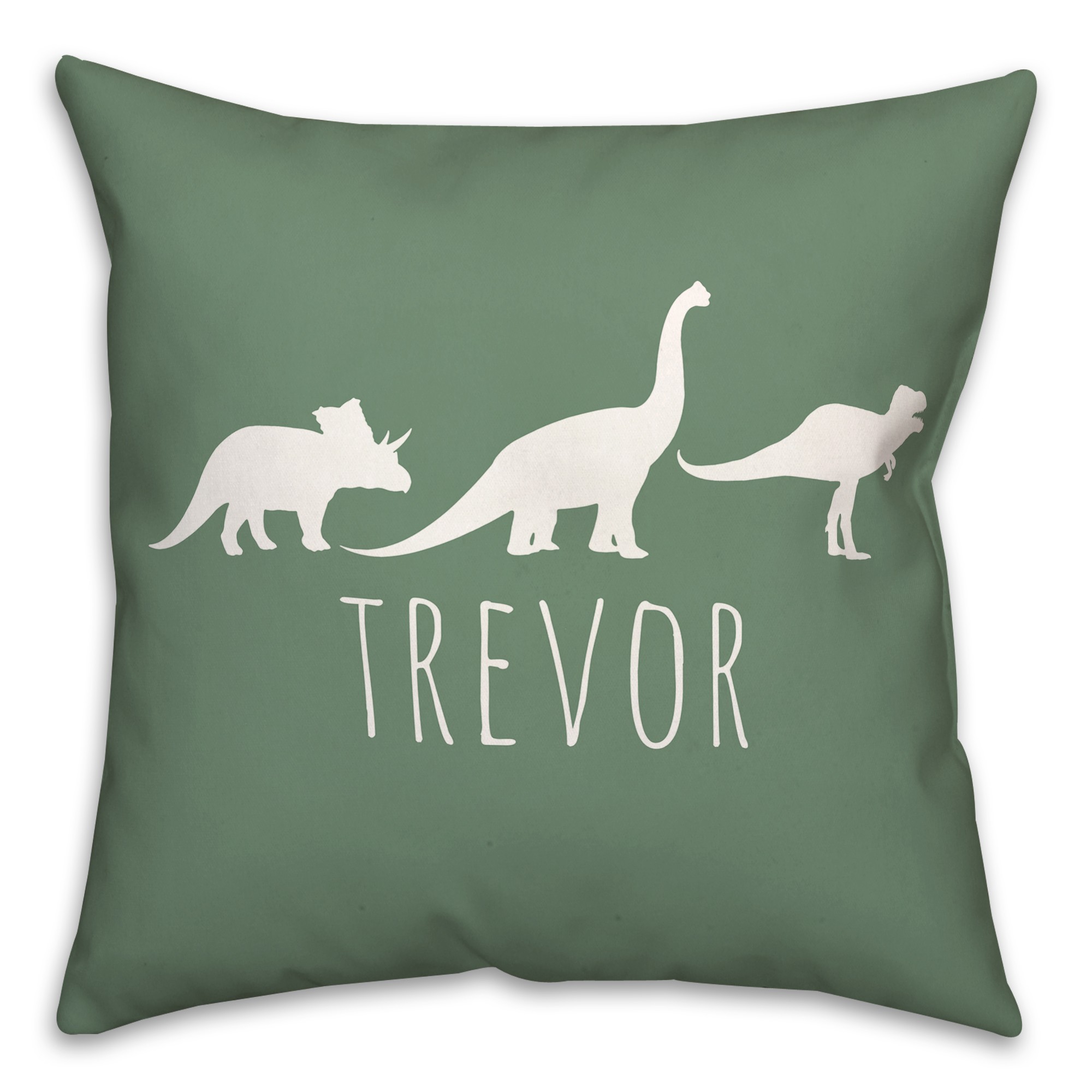Dinos with Chevron Solid Green 18x18 Personalized Spun Poly Pillow