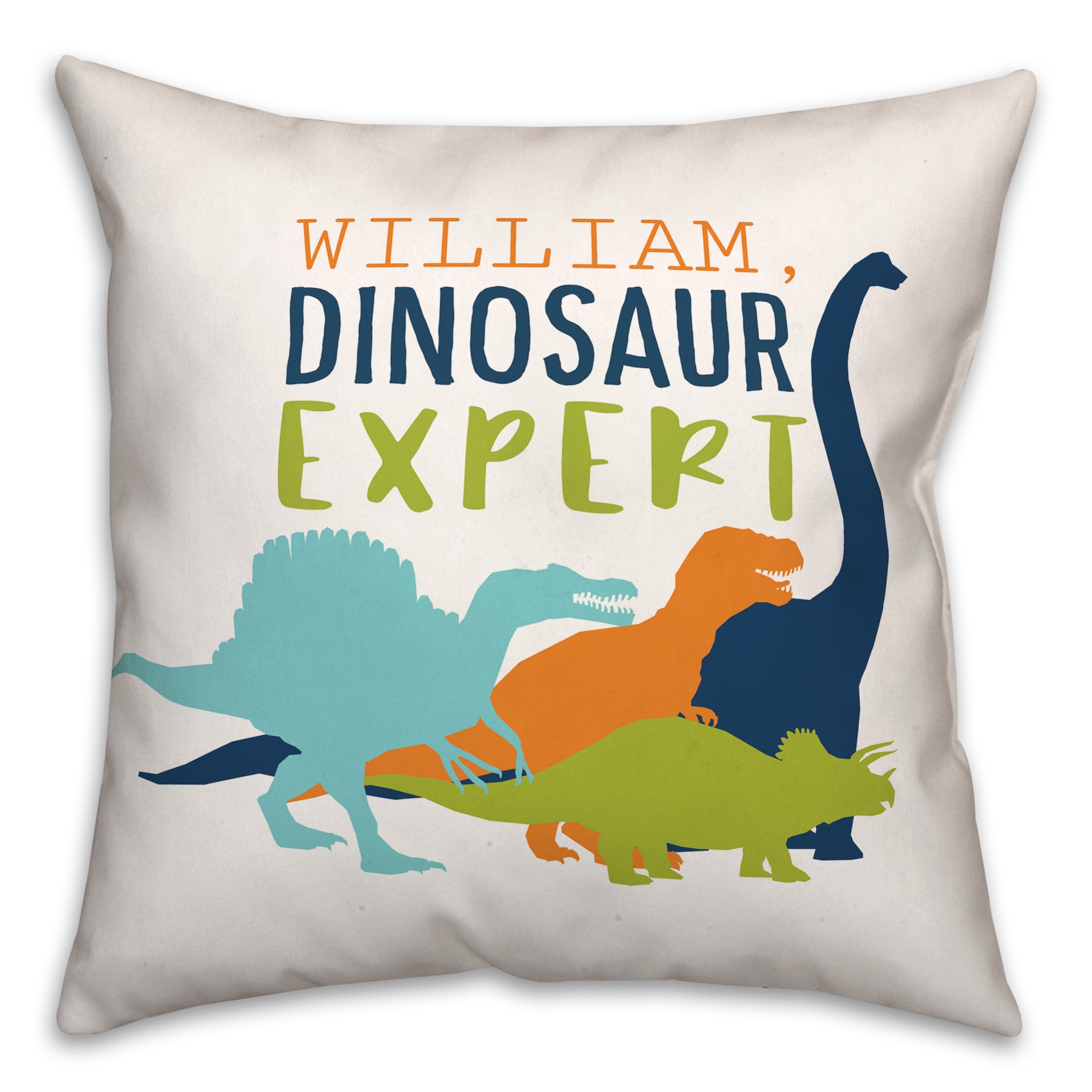 Dinosaur Expert with Name Navy 18x18 Personalized Spun Poly Pillow