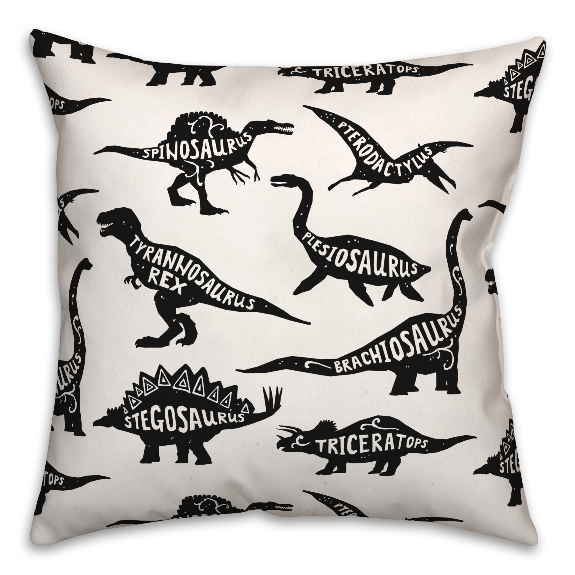 Dinosaurs with Names Black  18x18 Spun Poly Pillow