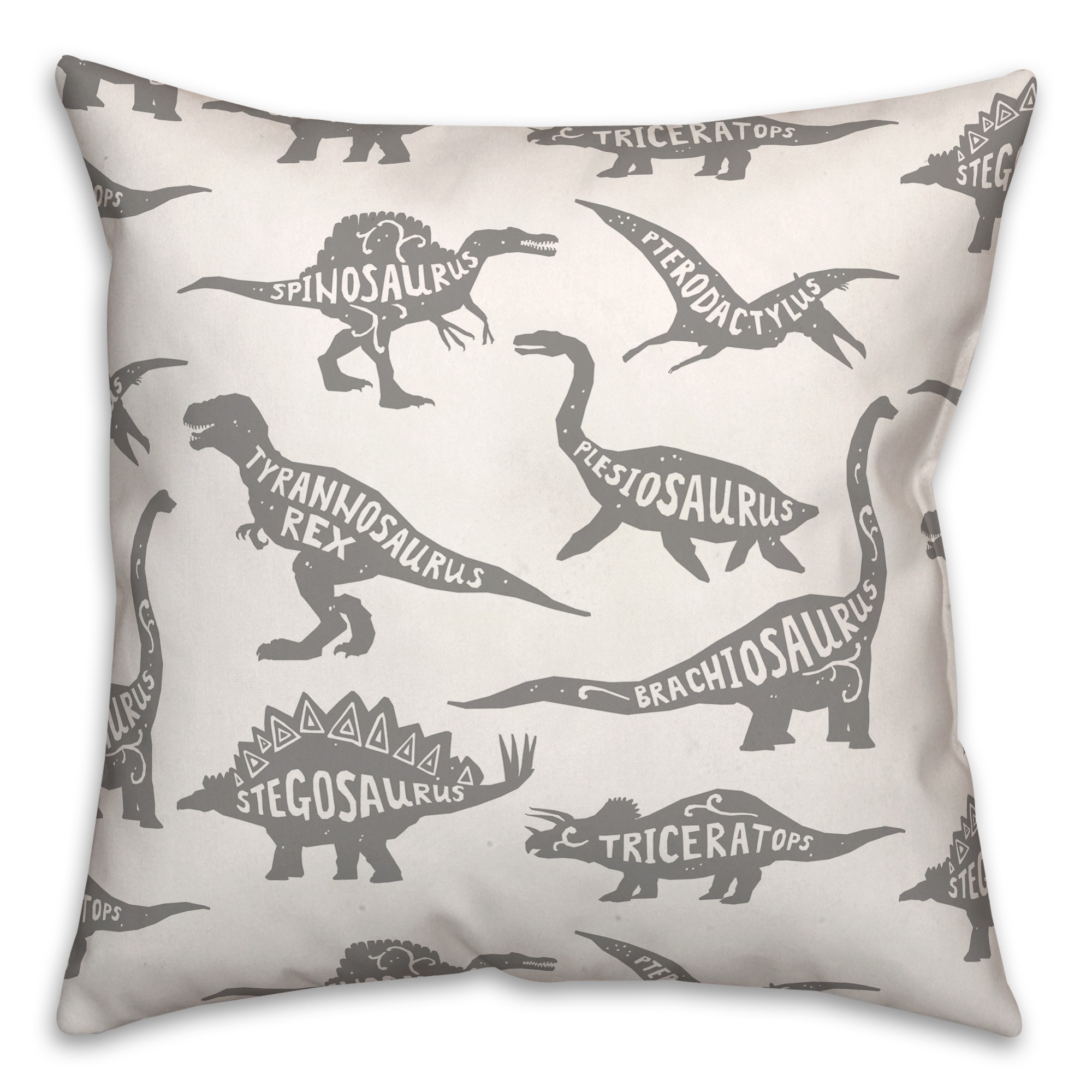 Dinosaurs with Names Gray 18x18 Spun Poly Pillow